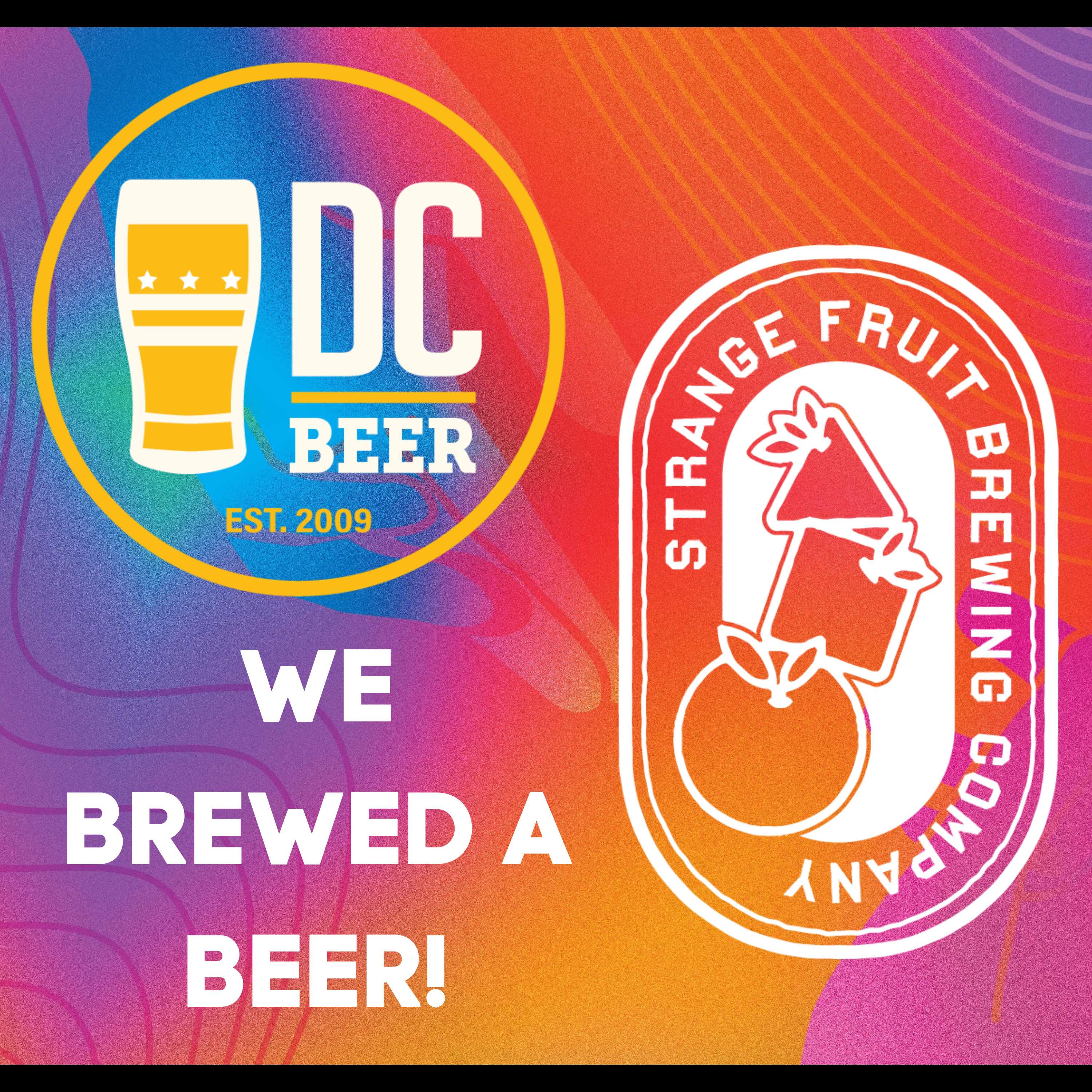 The DC Beer Show