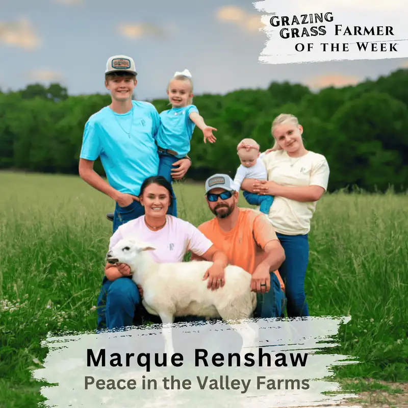 178. Grazing Lessons from the Ground Up with Marque Renshaw