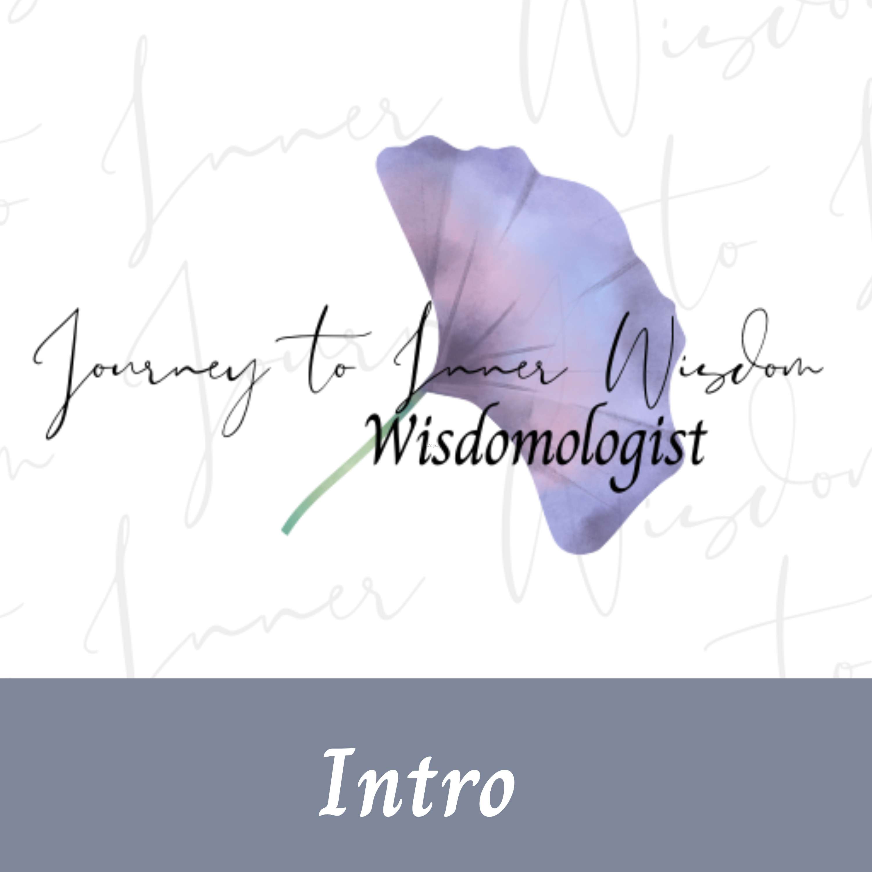 Journey to Inner Practical Wisdom