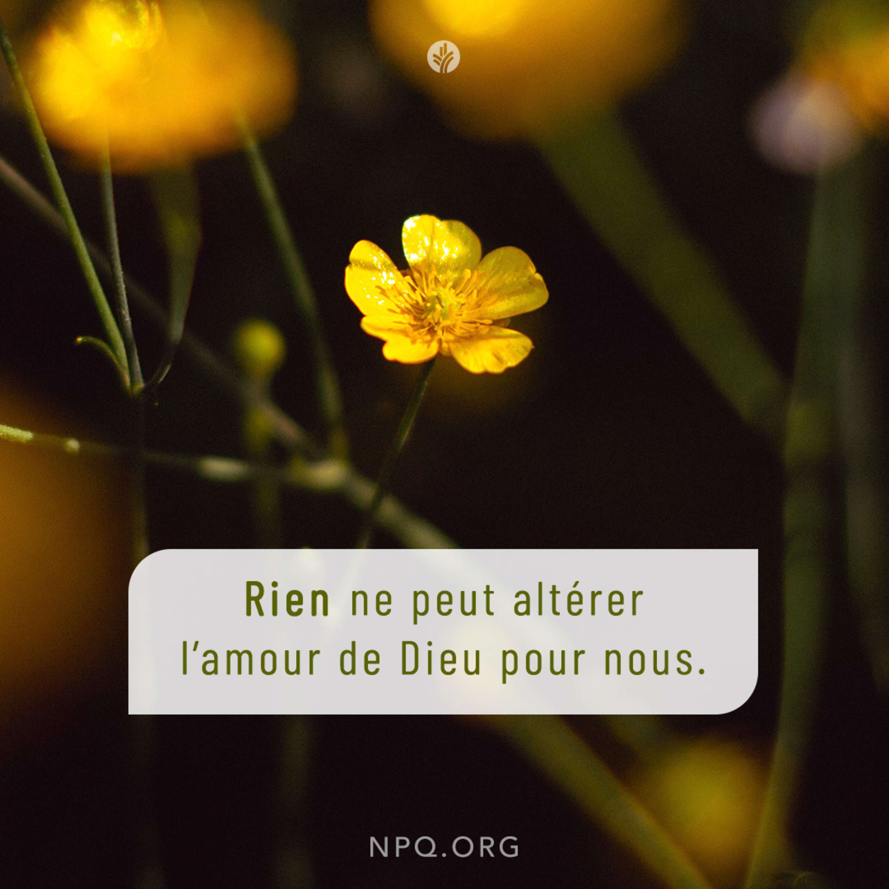 Notre Pain Quotidien podcast