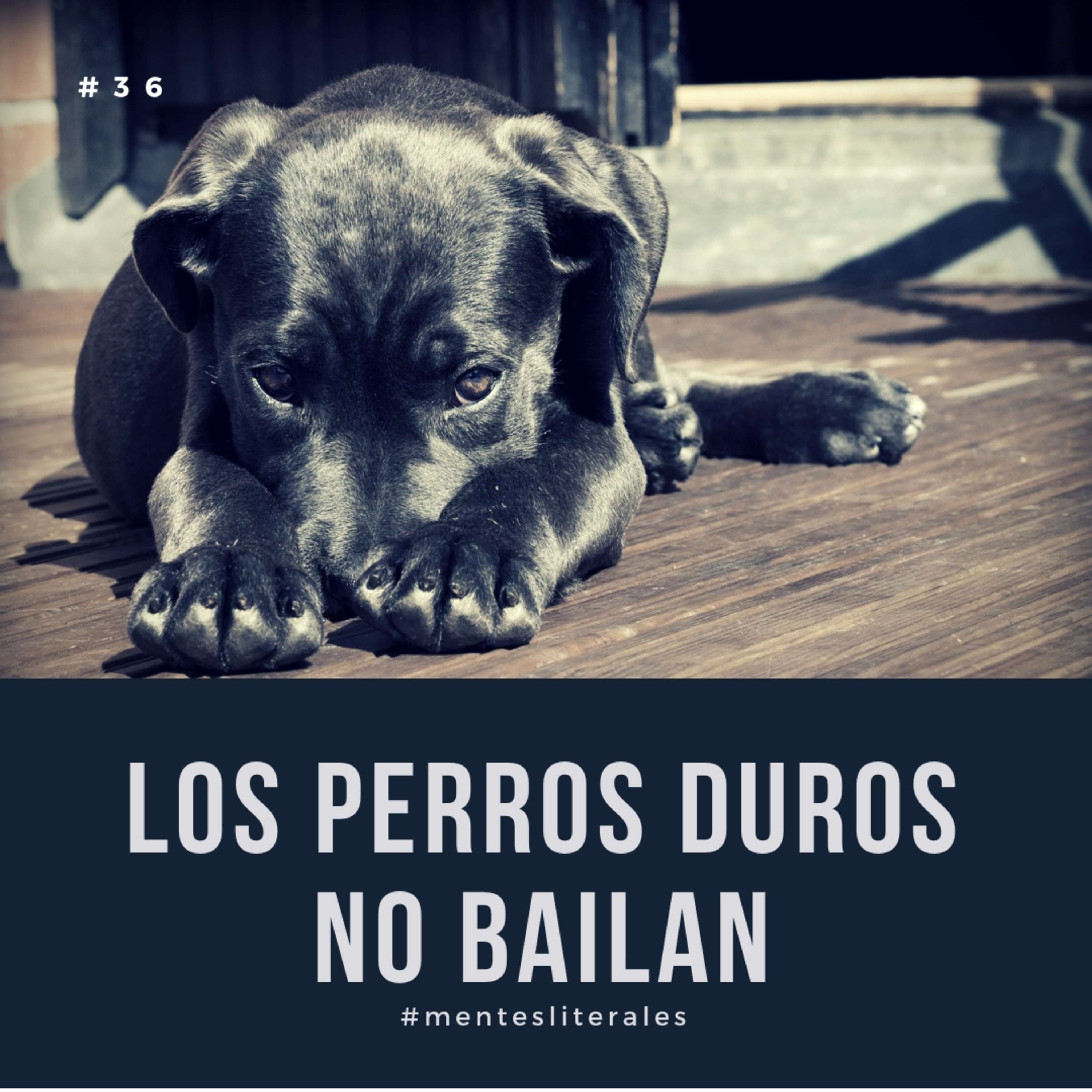 Los Perros Duros No Bailan