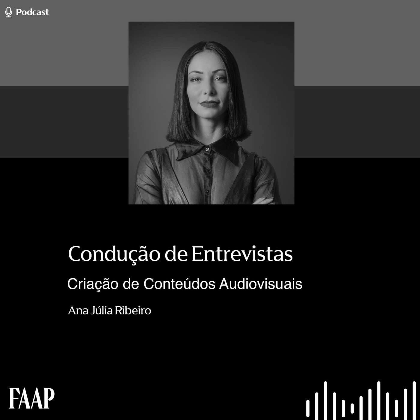 Condução de Entrevistas episode artwork