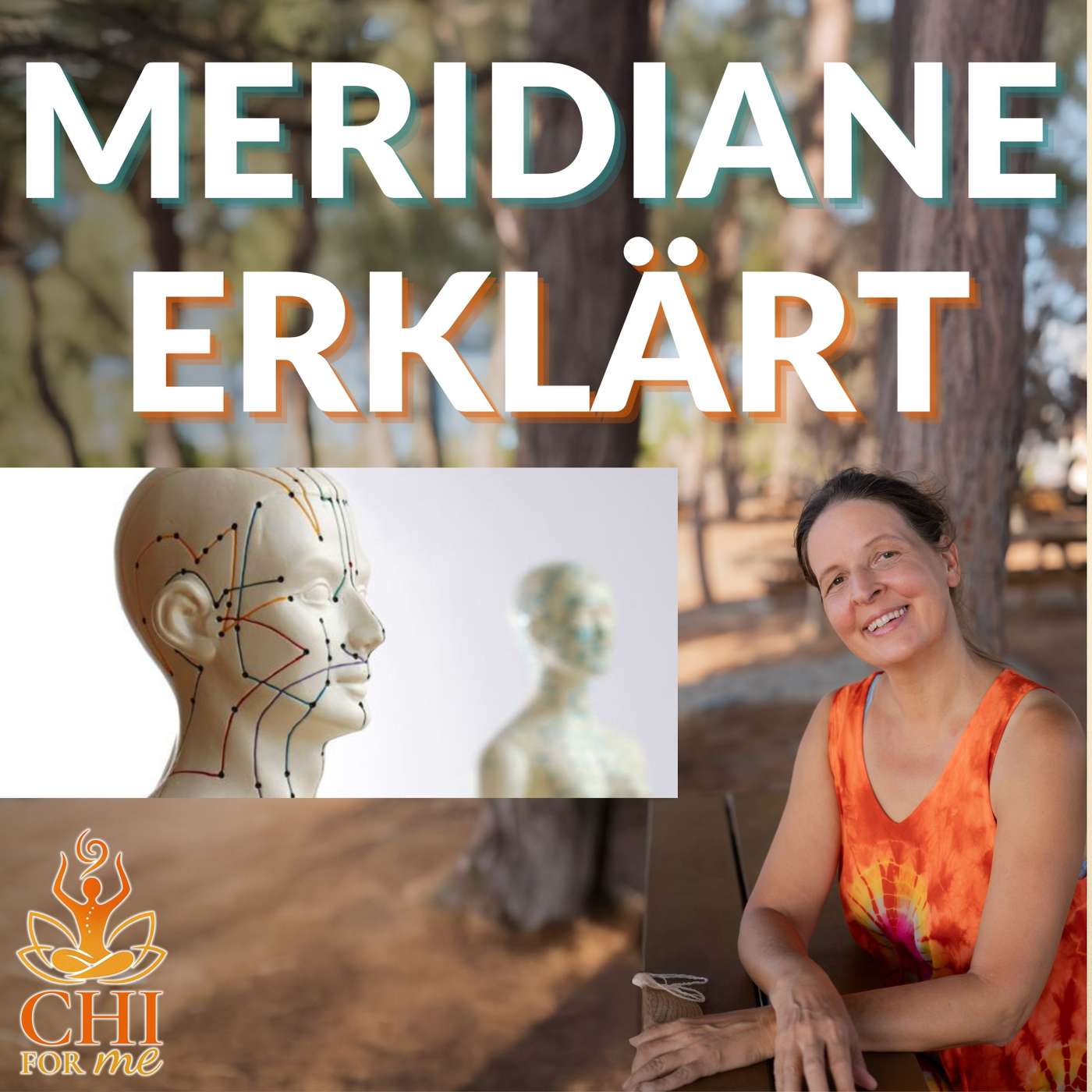#002 Die Meridiane – Lerne Dein inneres ENERGIESYSTEM kennen