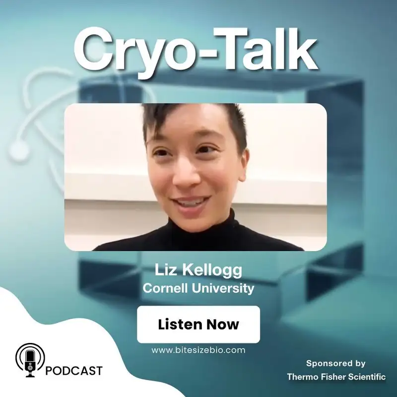 Cryo-Talk interviews Liz Kellogg (Cornell University)