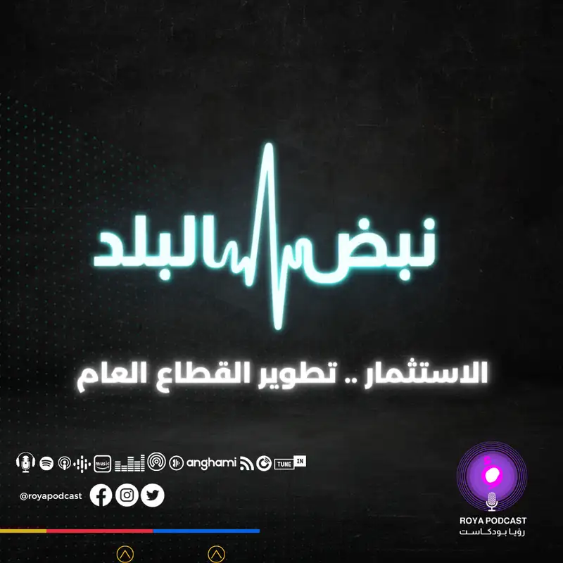 الاستثمار  .. تطوير القطاع العام