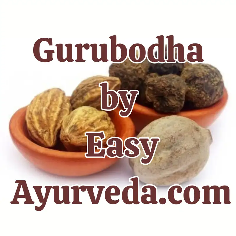 Gurubodha 153: Rutu Haritaki practical aspect| Rasayana as per chakradutta continued| Rasayana in diabetes