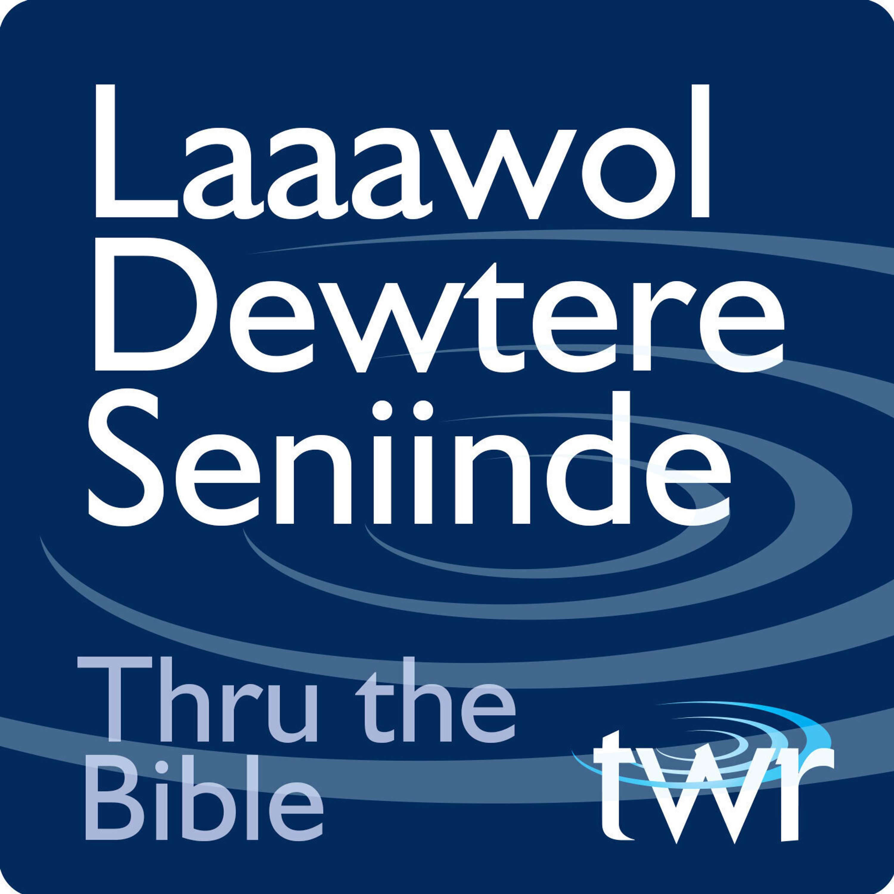 TTB Pular Laaawol Dewtere Seniinde podcast artwork