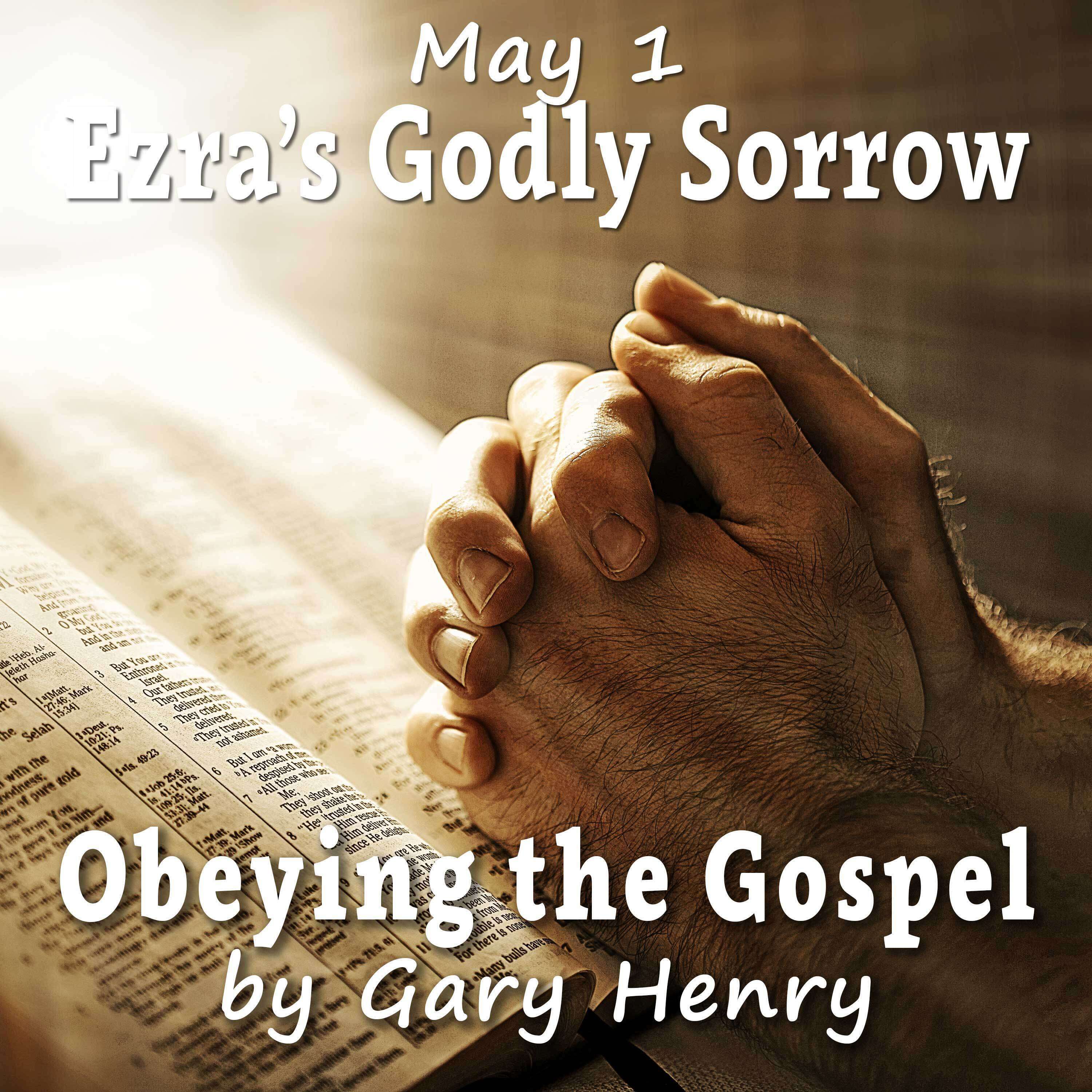Obeying the Gospel: How (and Why) to Become a Christian