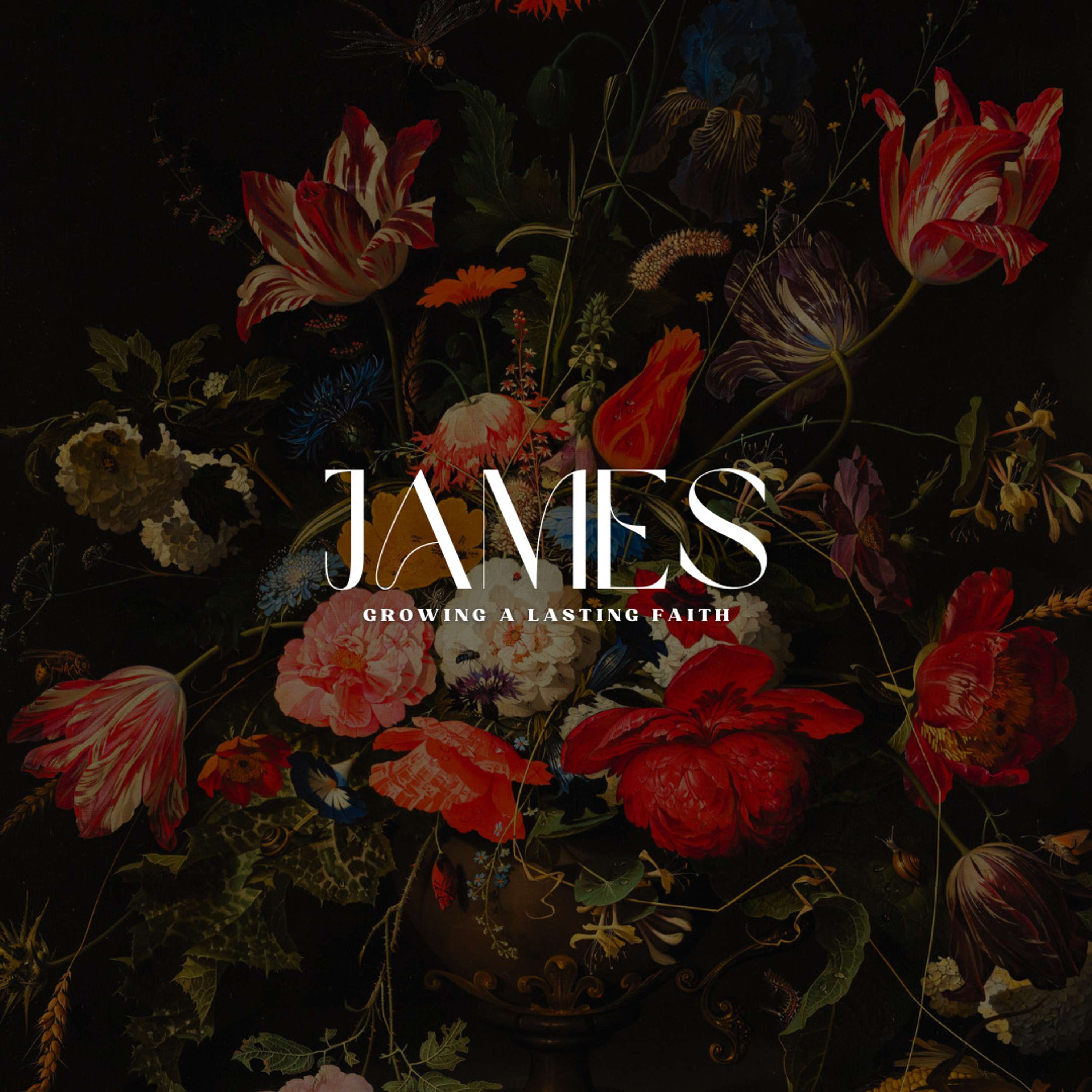 James Week 6 | James 3:1-12