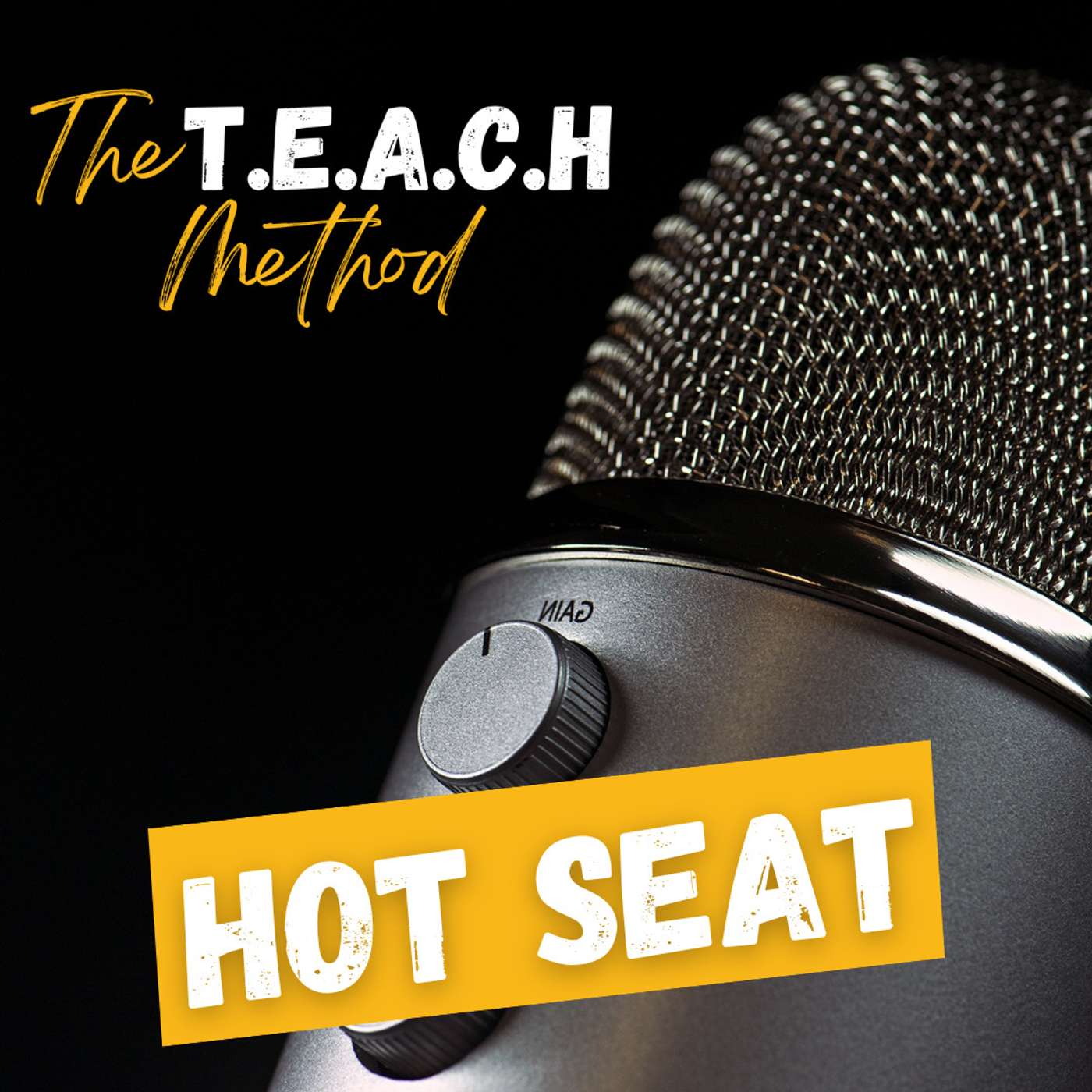 The T.E.A.C.H Method Hot Seats