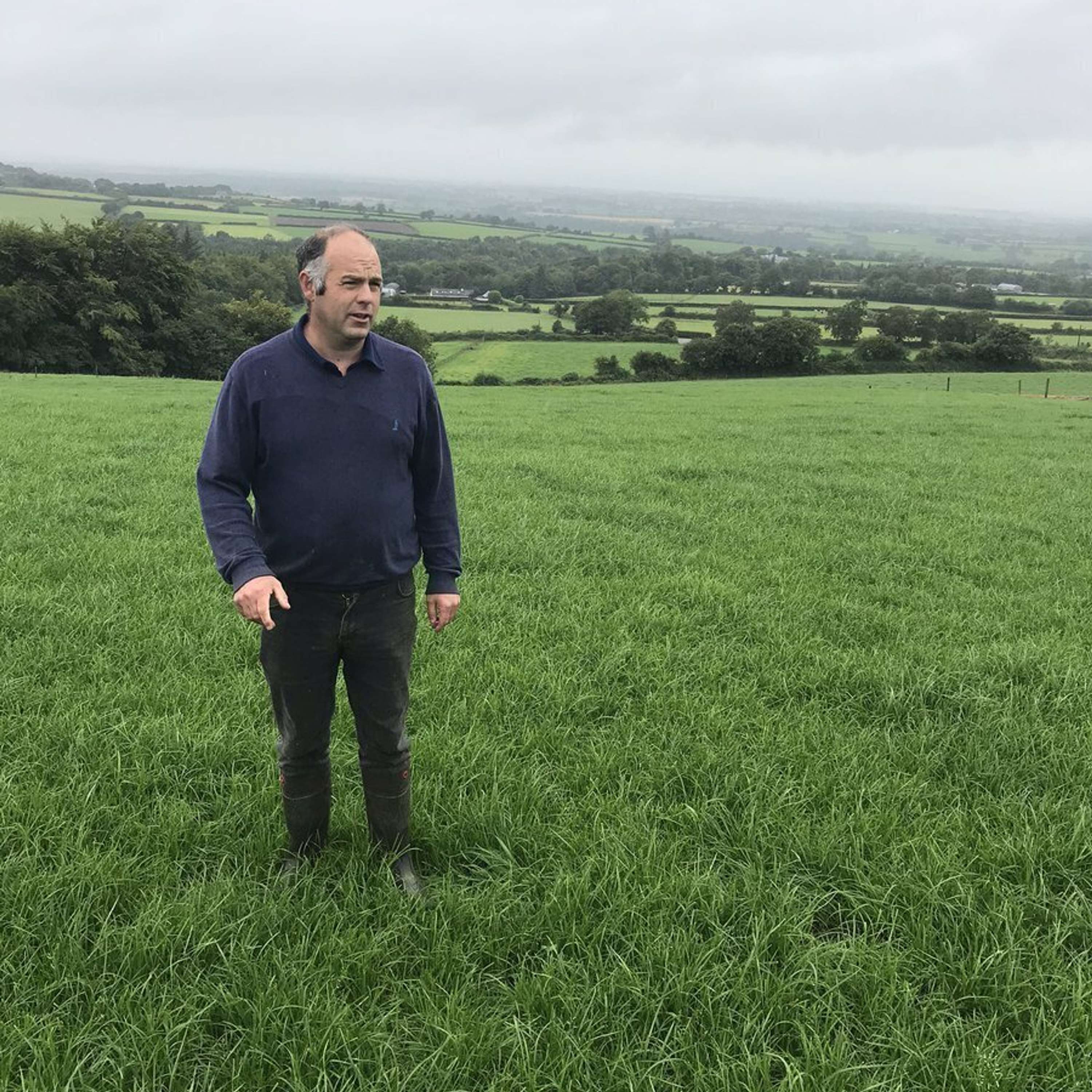 The Dairy Edge