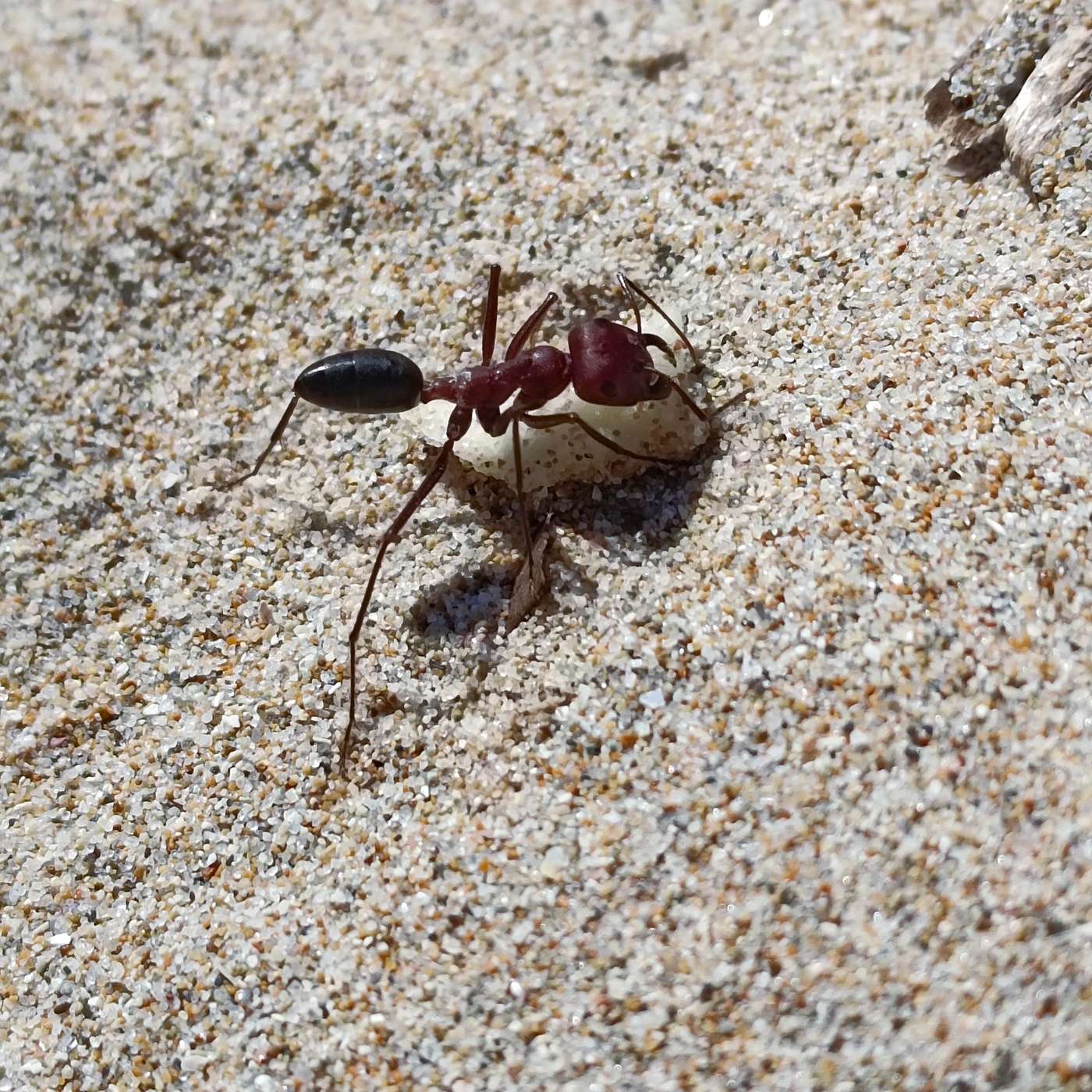 Sizin gününüz nasıl geçti?