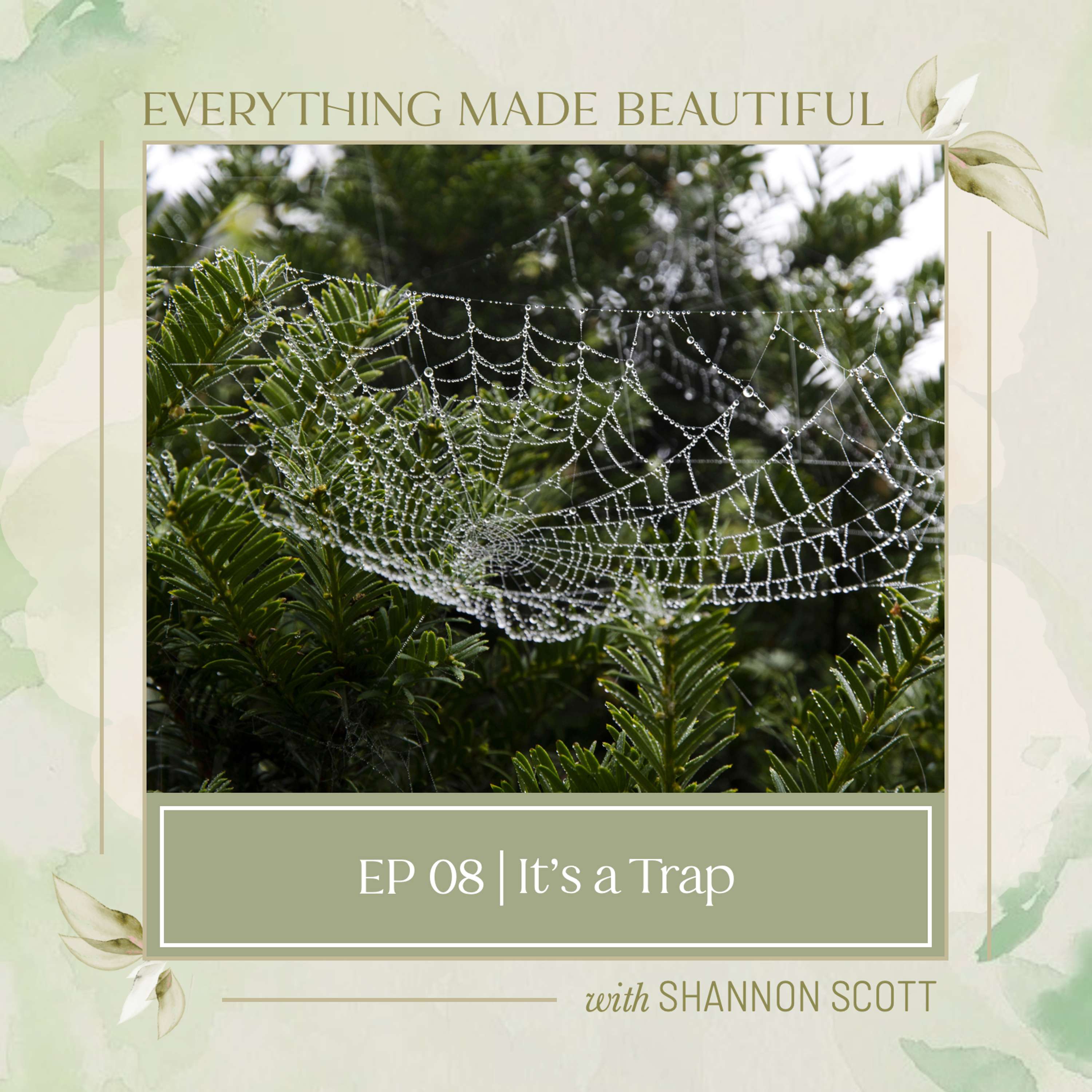Everything Made Beautiful with Shannon Scott