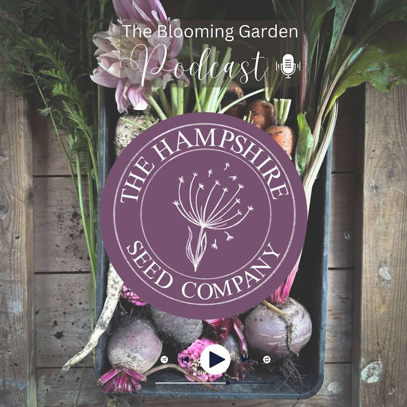 26. How to Start Breeding Dahlias (Without Losing Your Mind)