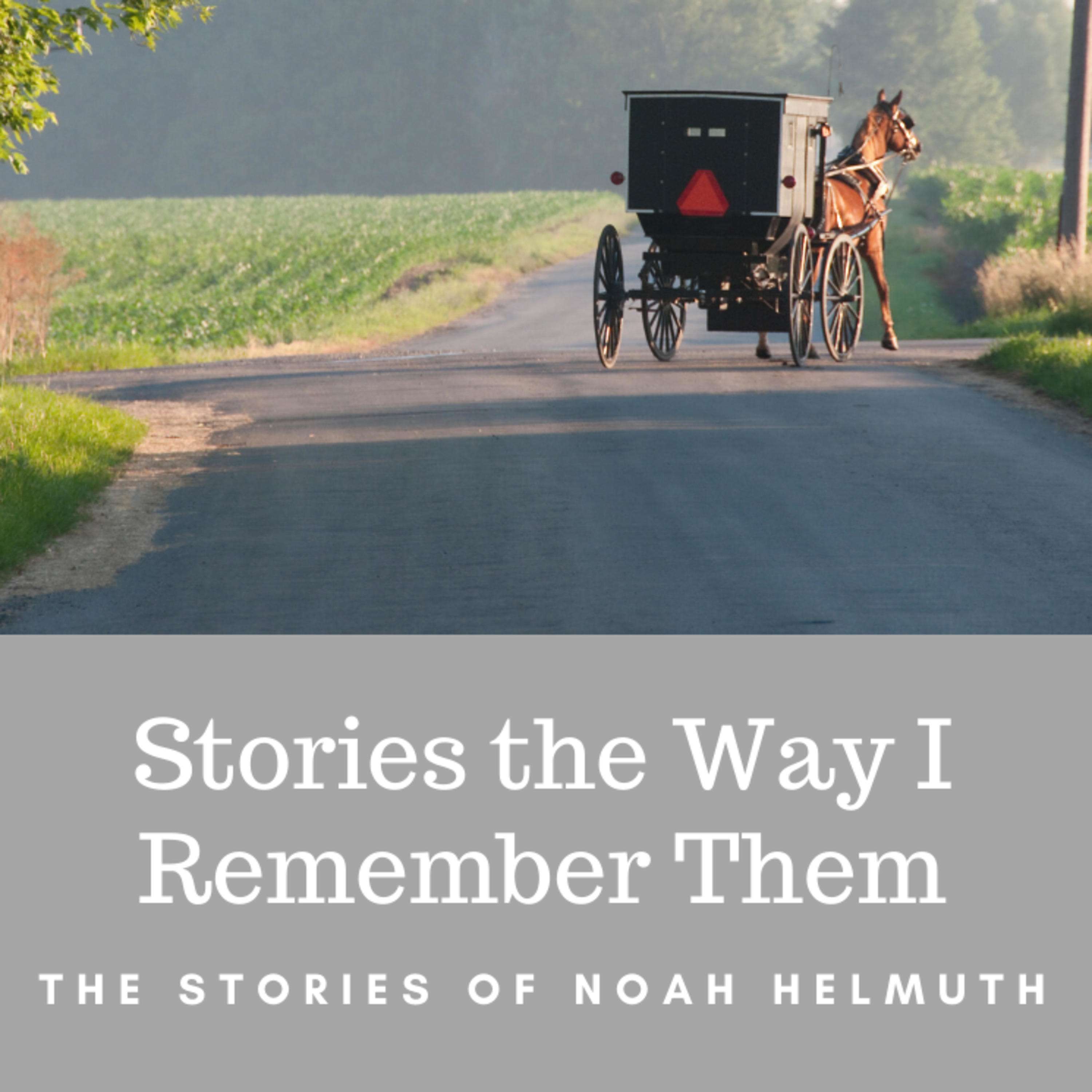 Stories the Way I Remember Them - The Stories of Noah Helmuth