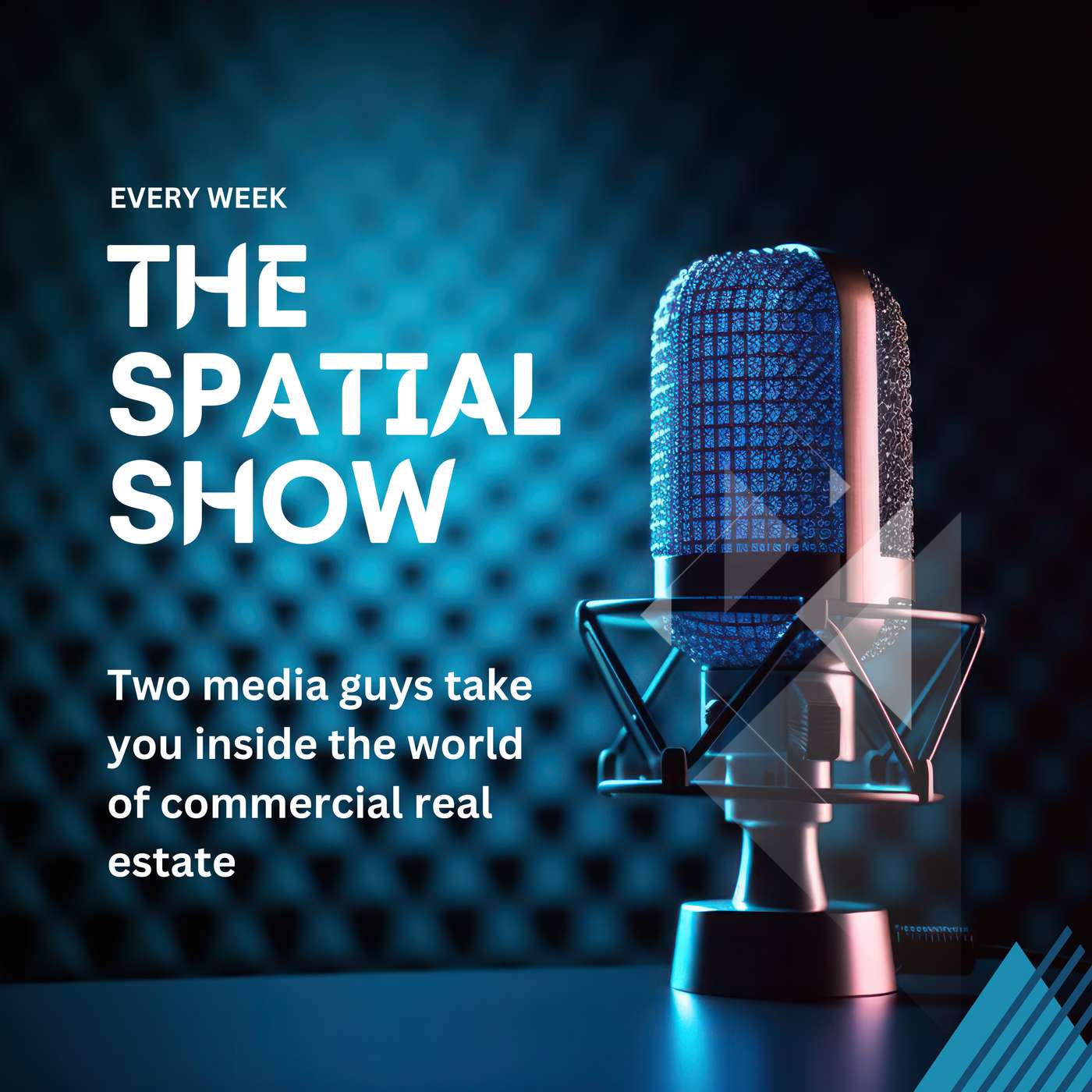 The Spatial Show