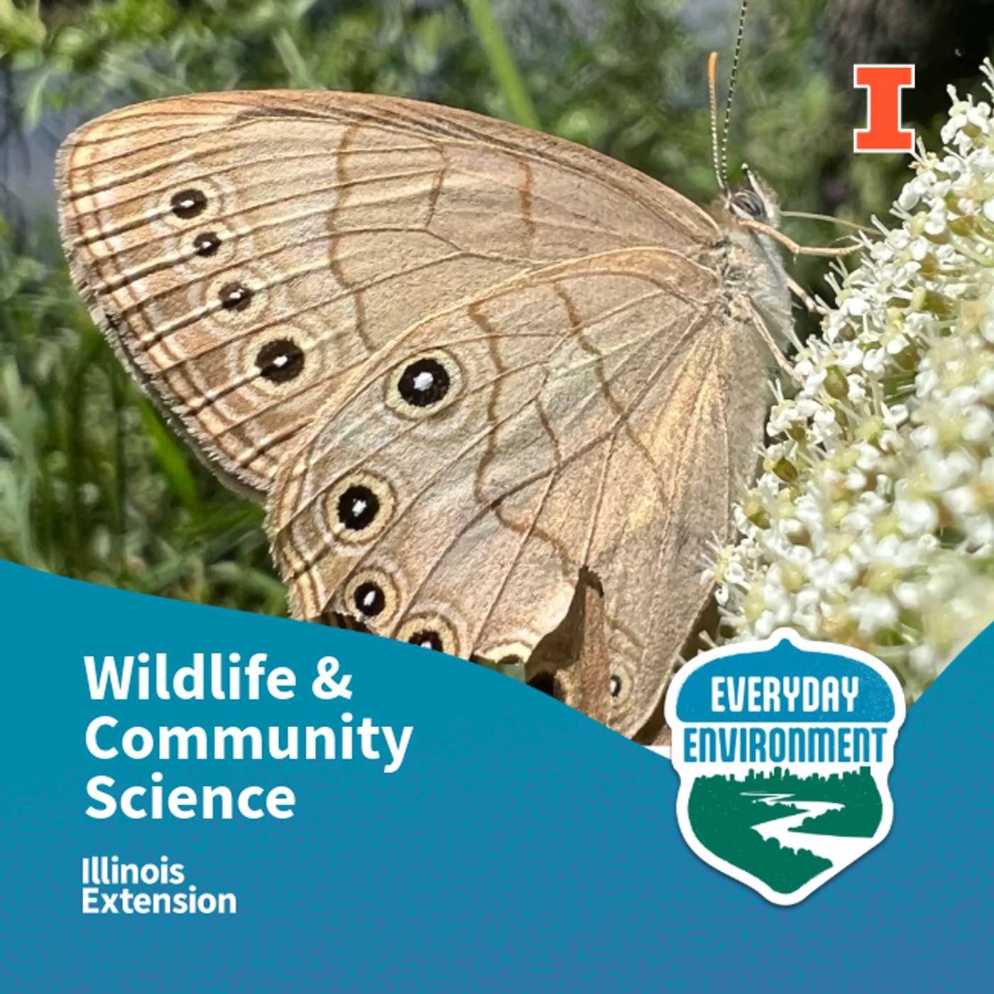 Taking action for wildlife: The power of community science