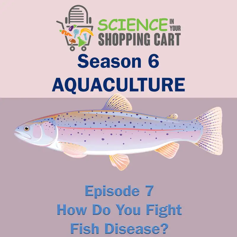 Season 6: Aquaculture | Episode 7: How Do You Fight Fish Disease?