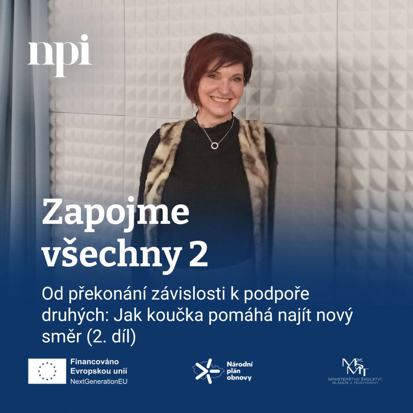 Zapojme všechny 2 - podcast NPI ČR