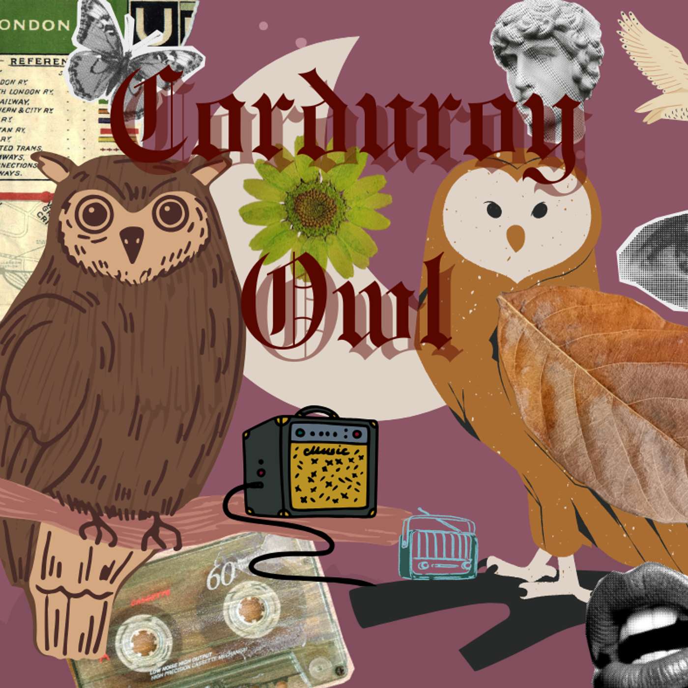 Corduroy Owl