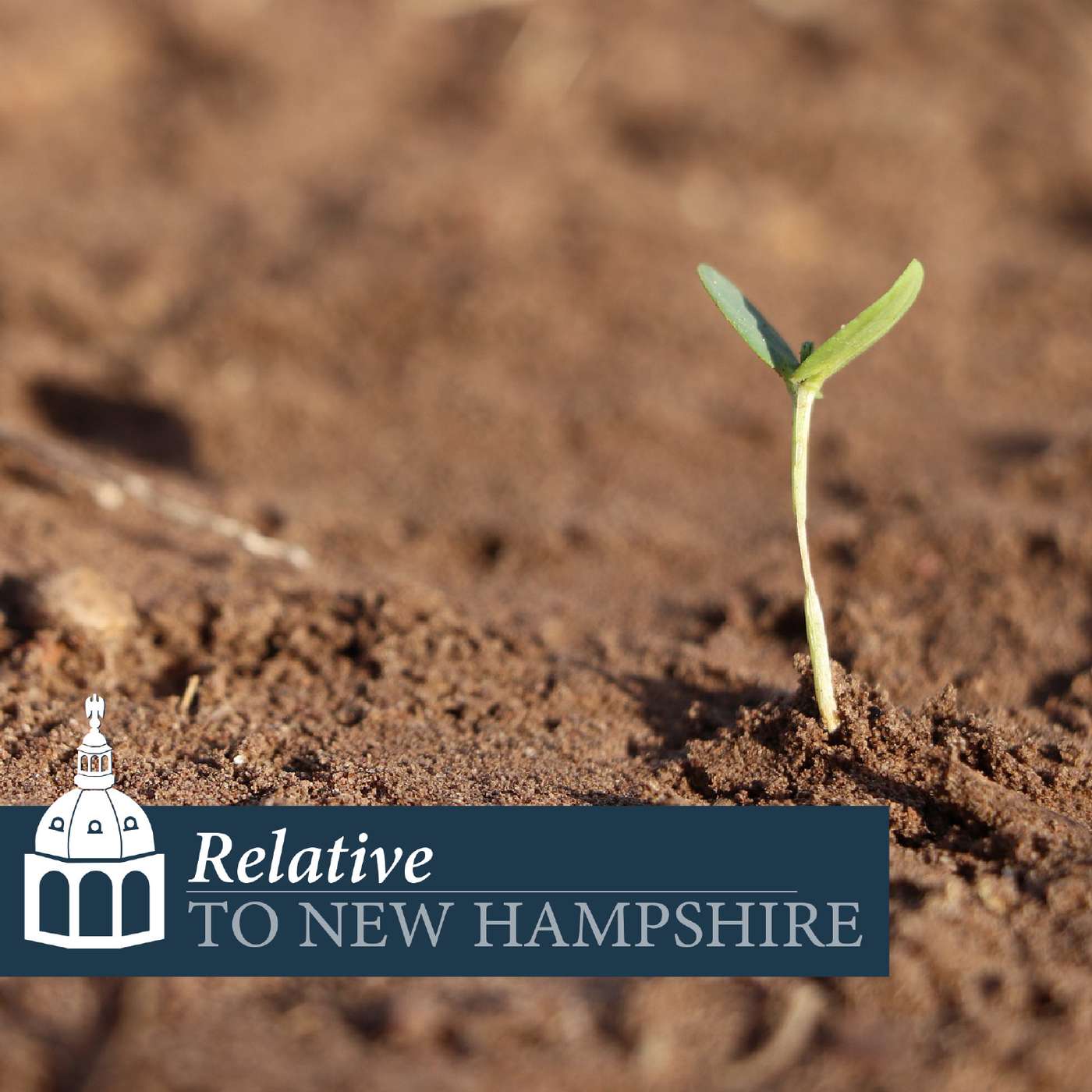 Soil Health & Climate Change with Serita Frey, Ph.D.