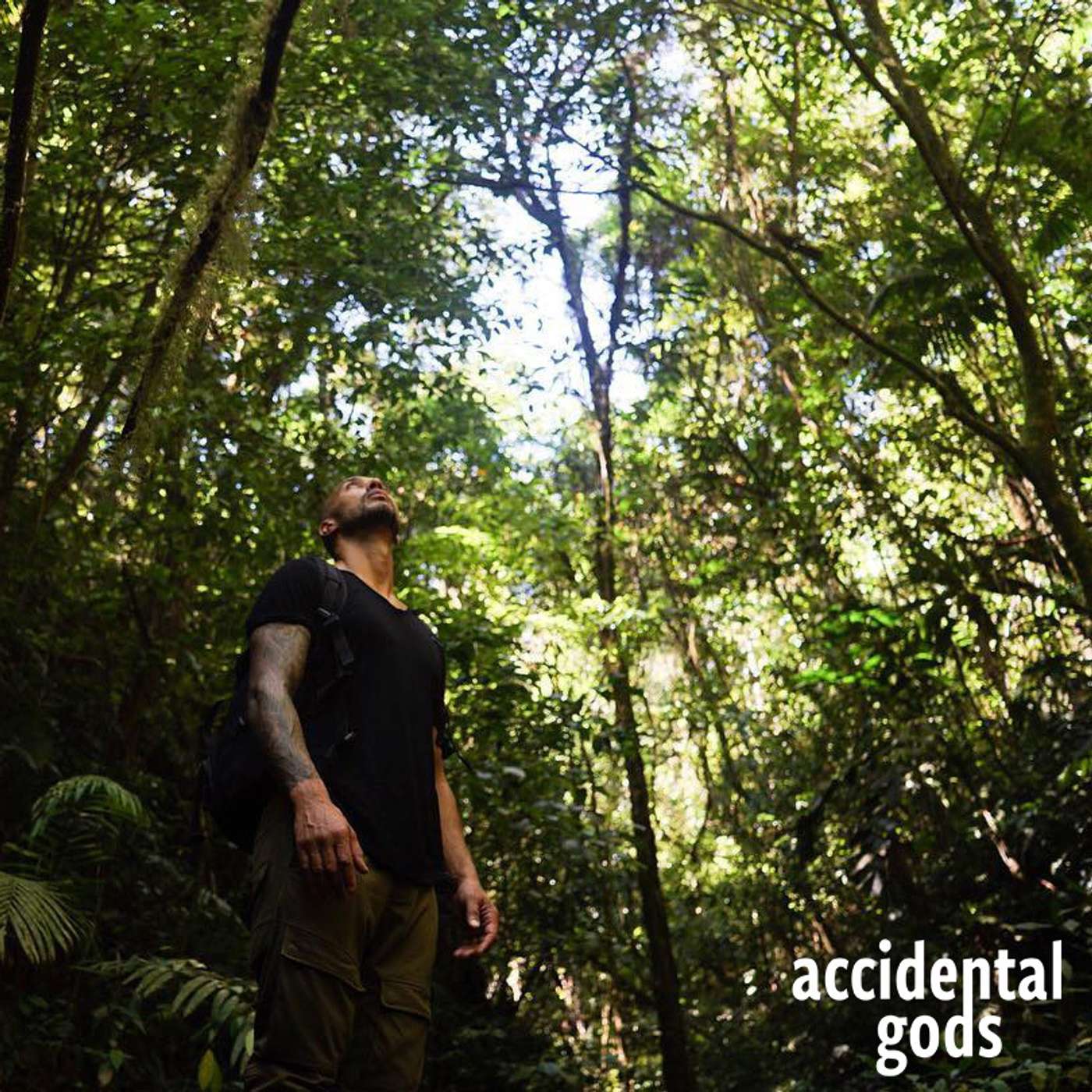 Accidental Gods