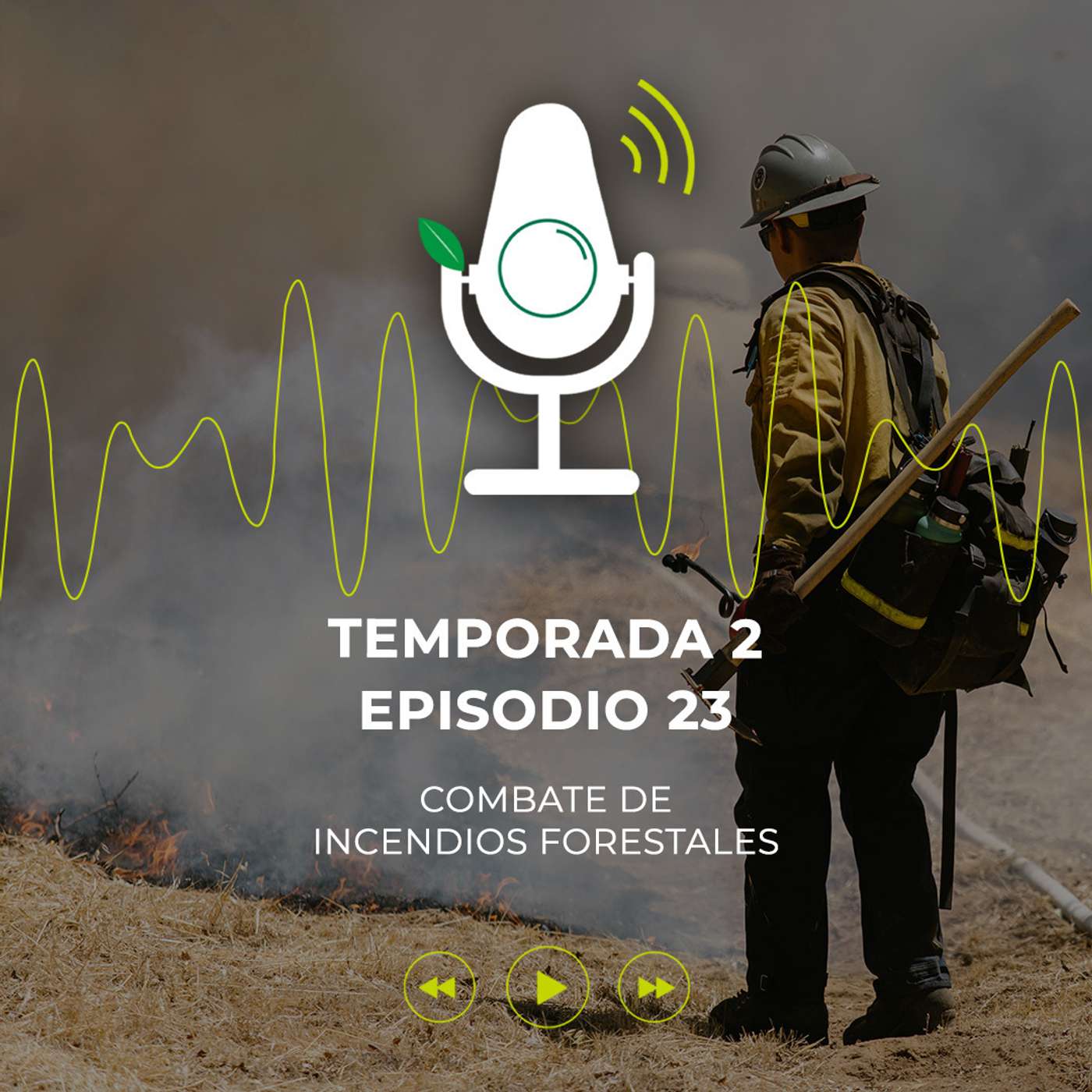 Combate de incendios forestales