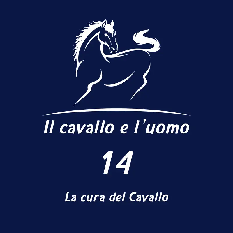 La cura del Cavallo