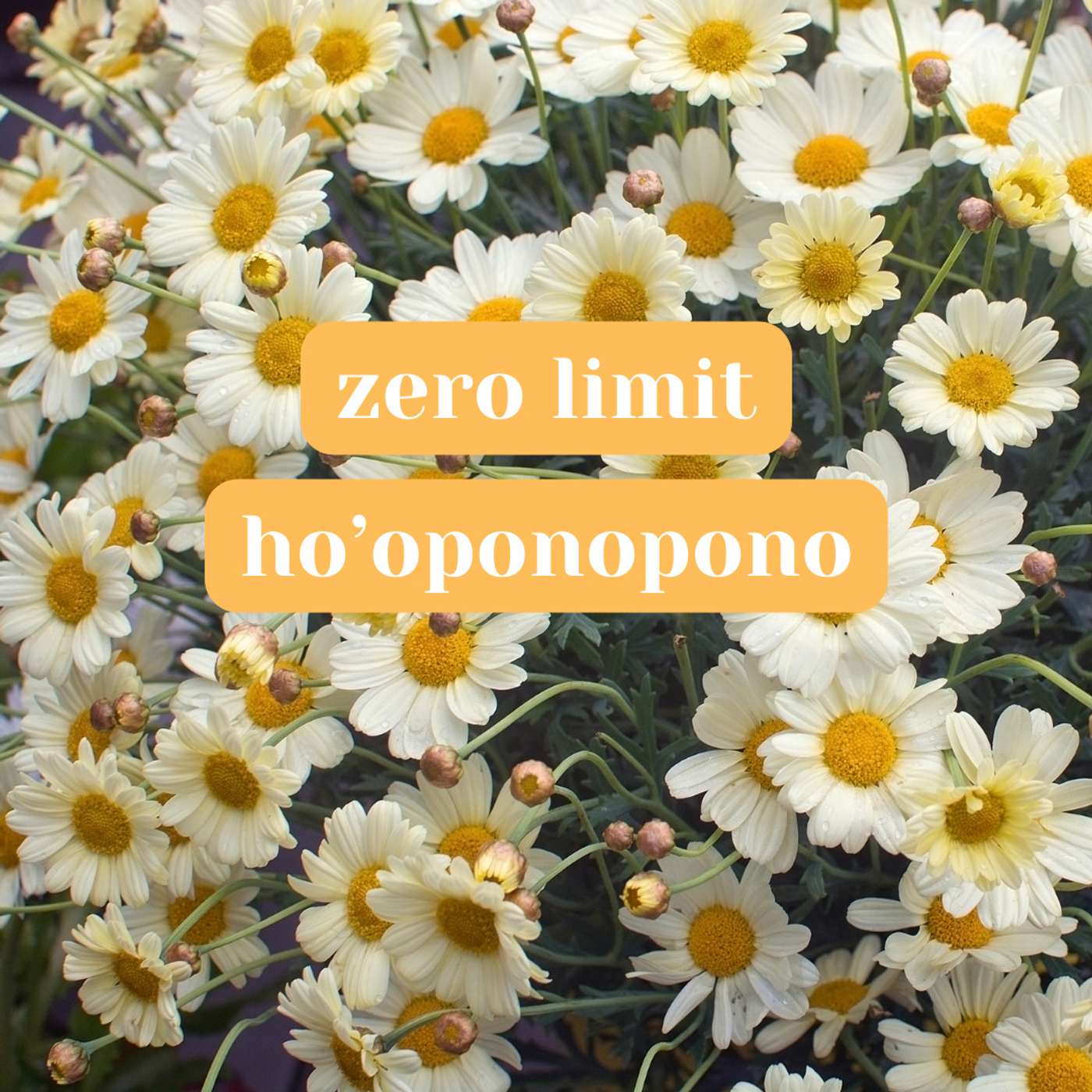 Zero Limit Ho'oponopono covered by Lil' Ashes