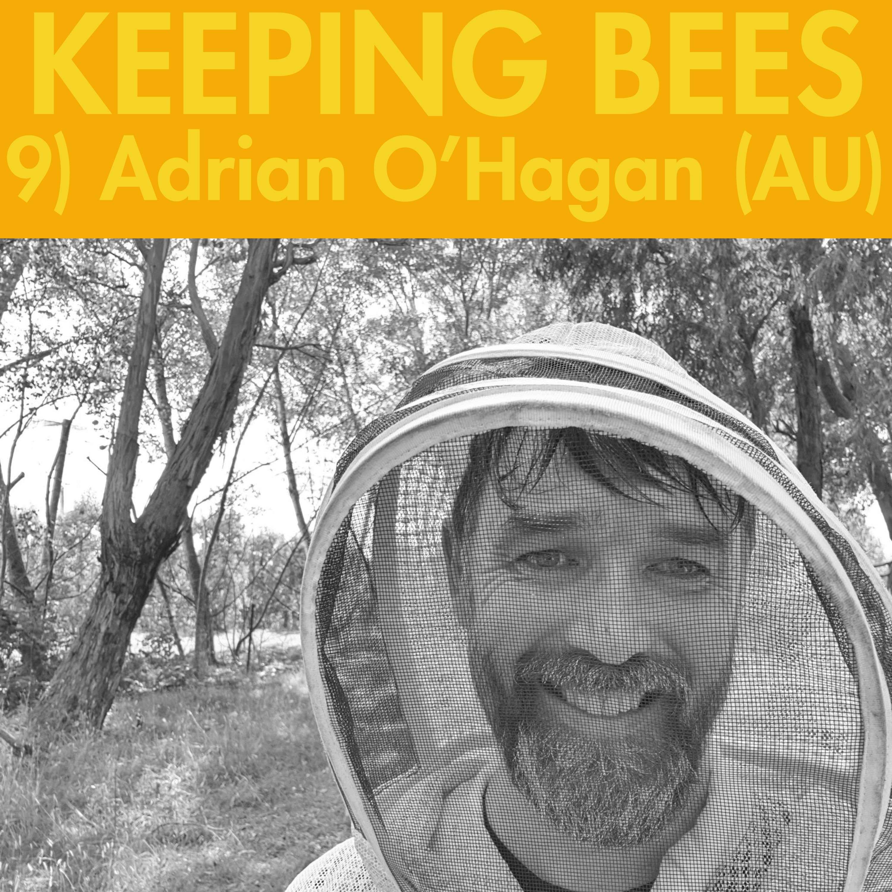 Keeping Bees
