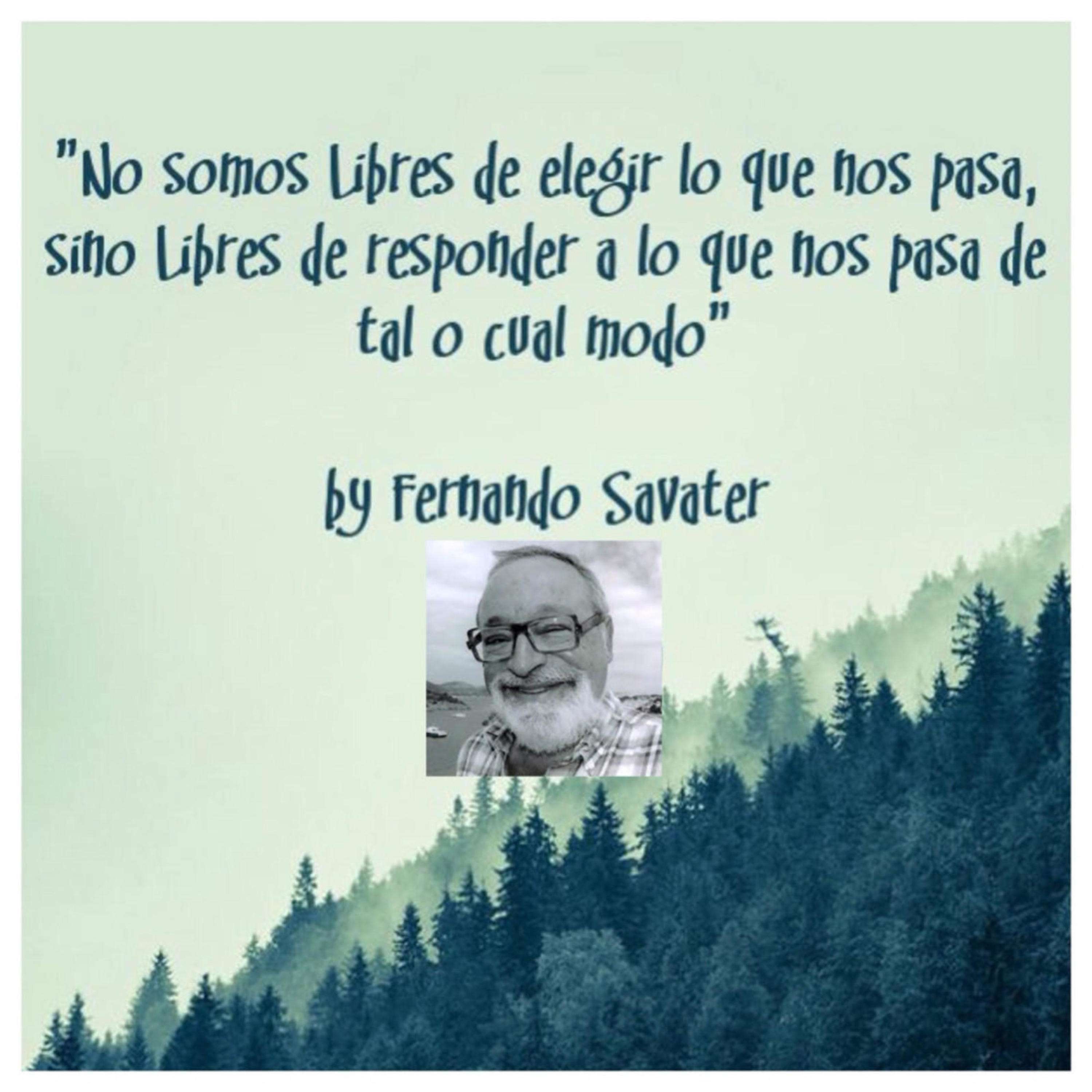 MentesLiterales - Recomendaciones y Reseñas de Libros