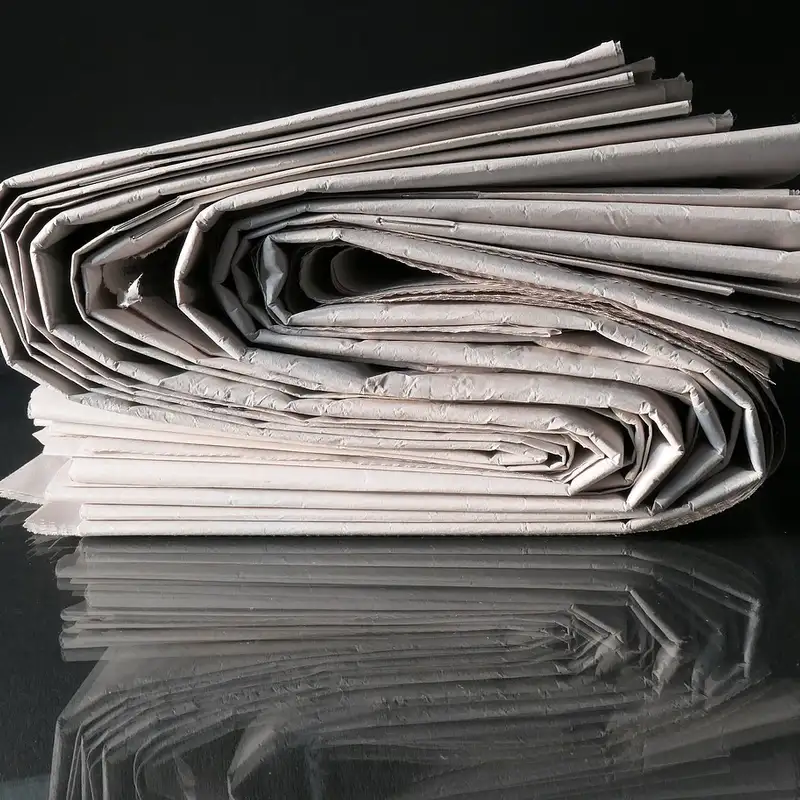 REVUE DE PRESSE - Plongez dans l'actualité torontoise du mardi 19 novembre