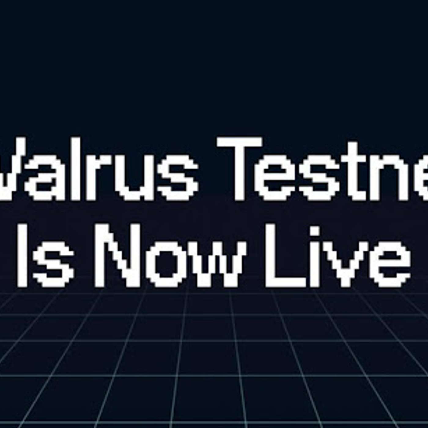 Decentralized Storage Protocol Walrus Launches Public Testnet