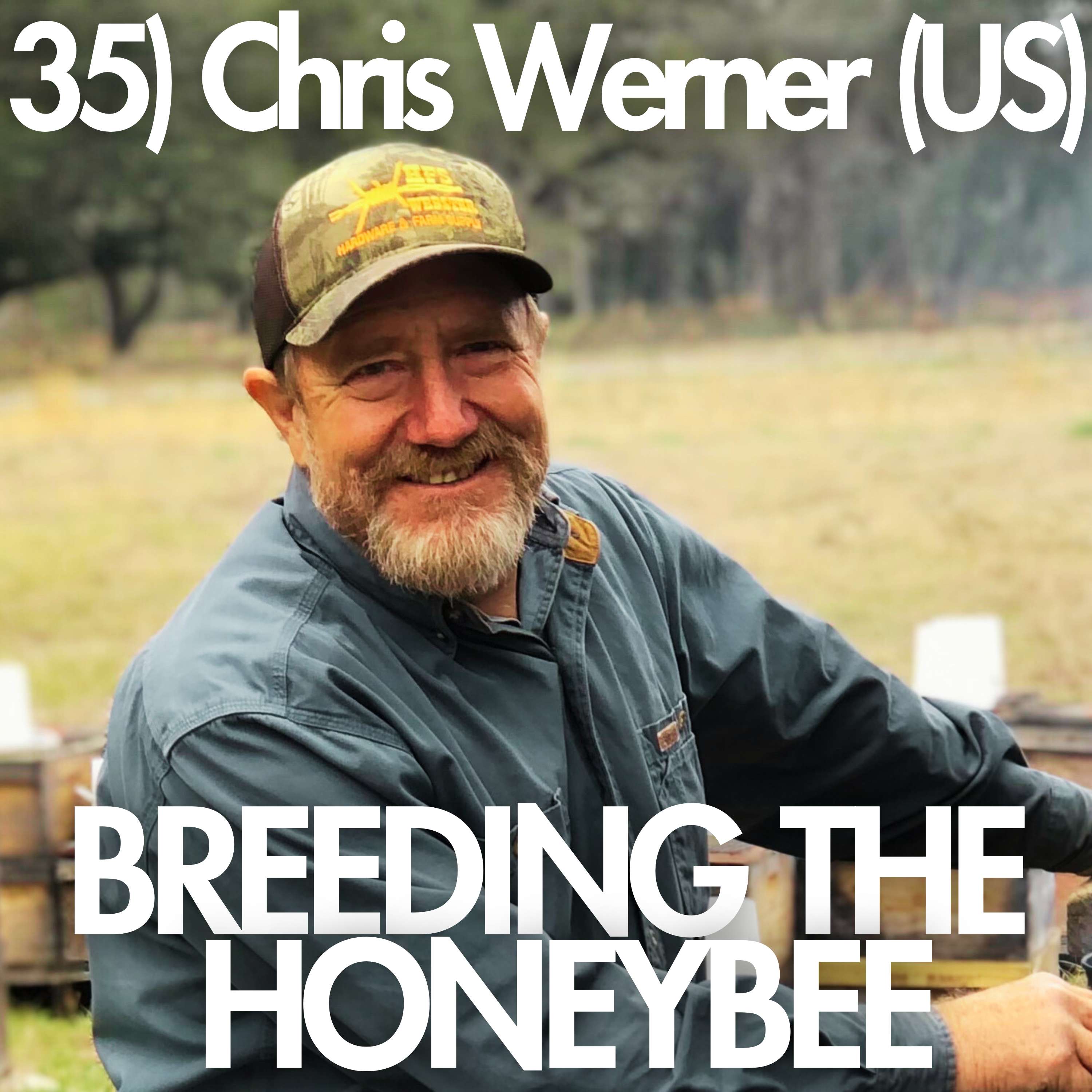 Breeding the Honeybee