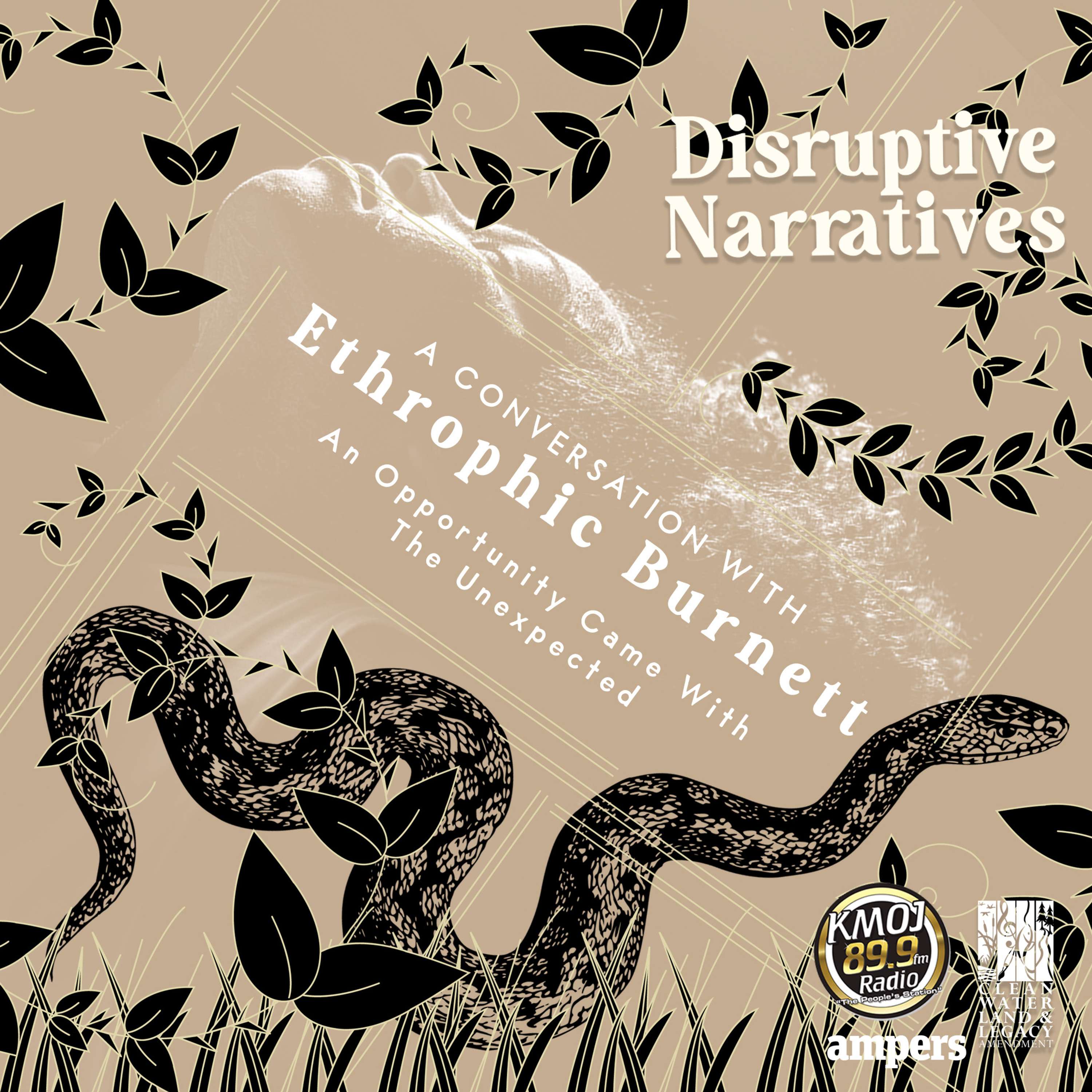 Disruptive Narratives