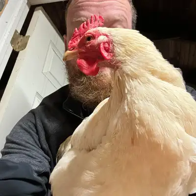 Lee of Bawk