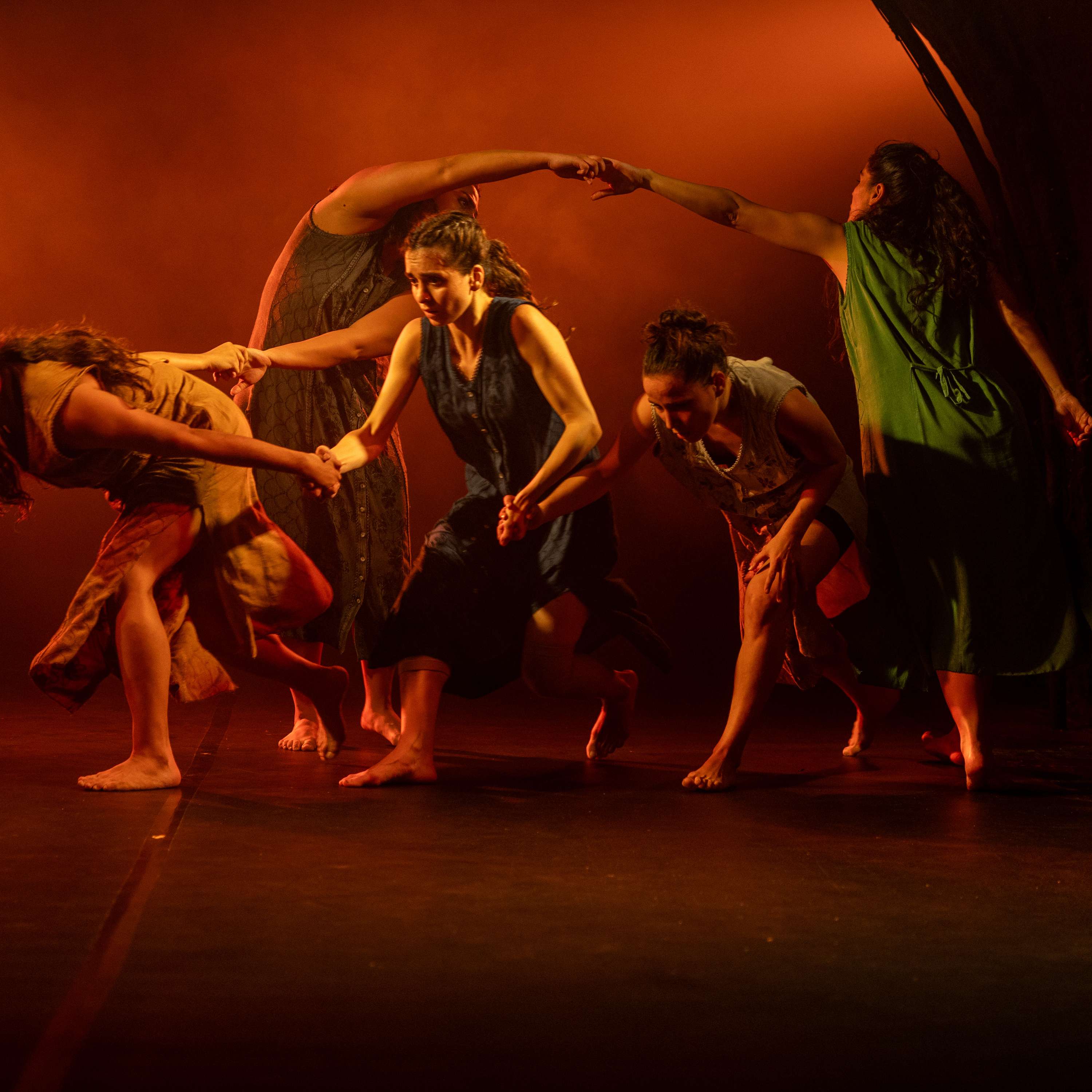 Creatures of Dance - חיות מחול