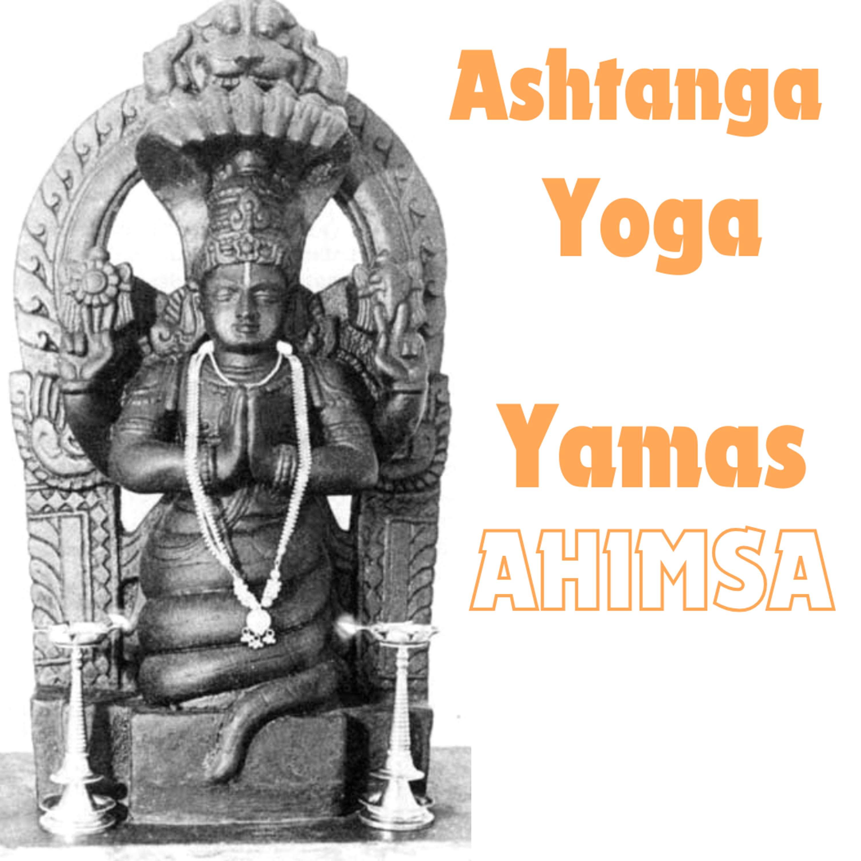 Yoga Connection With Zorananda