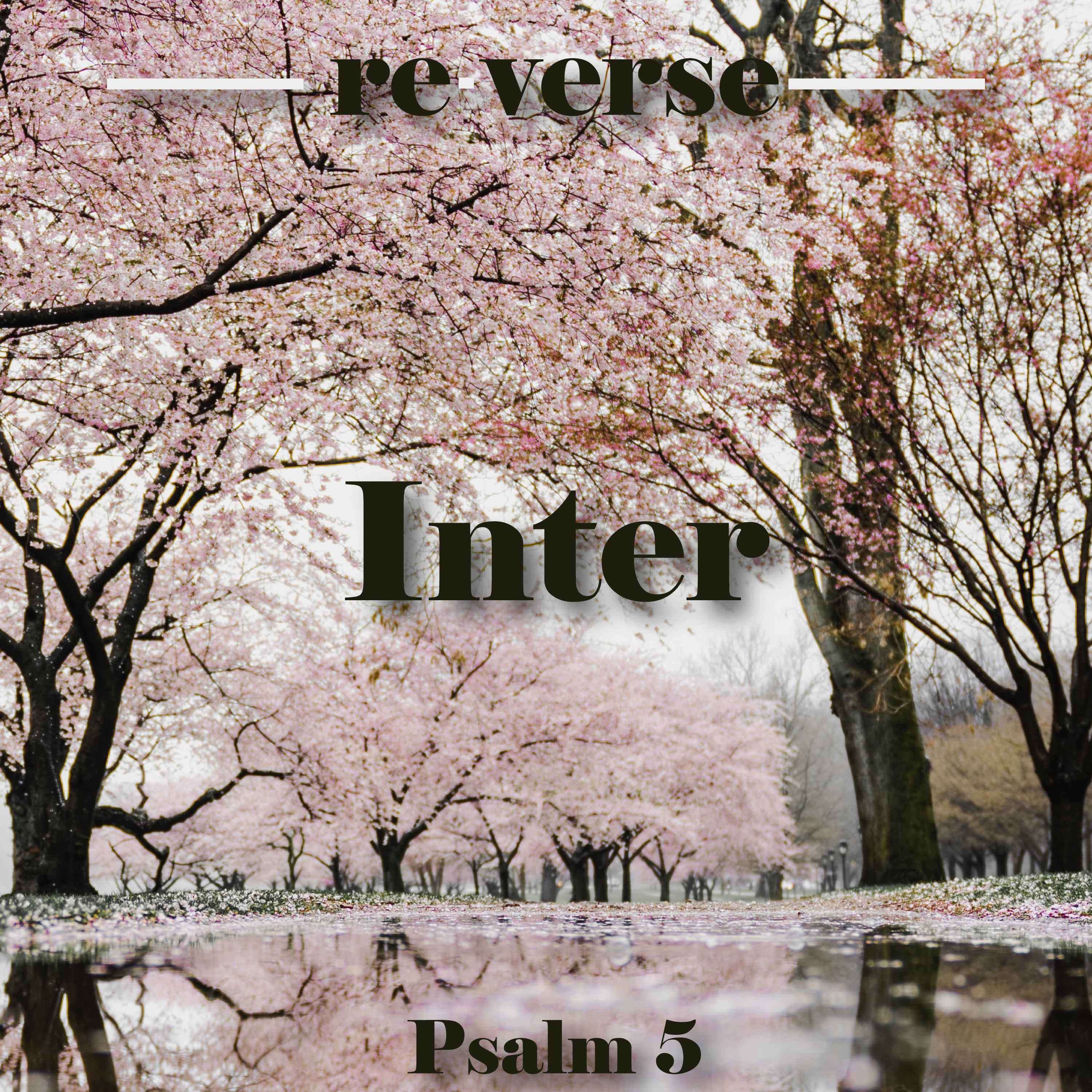 re-verse