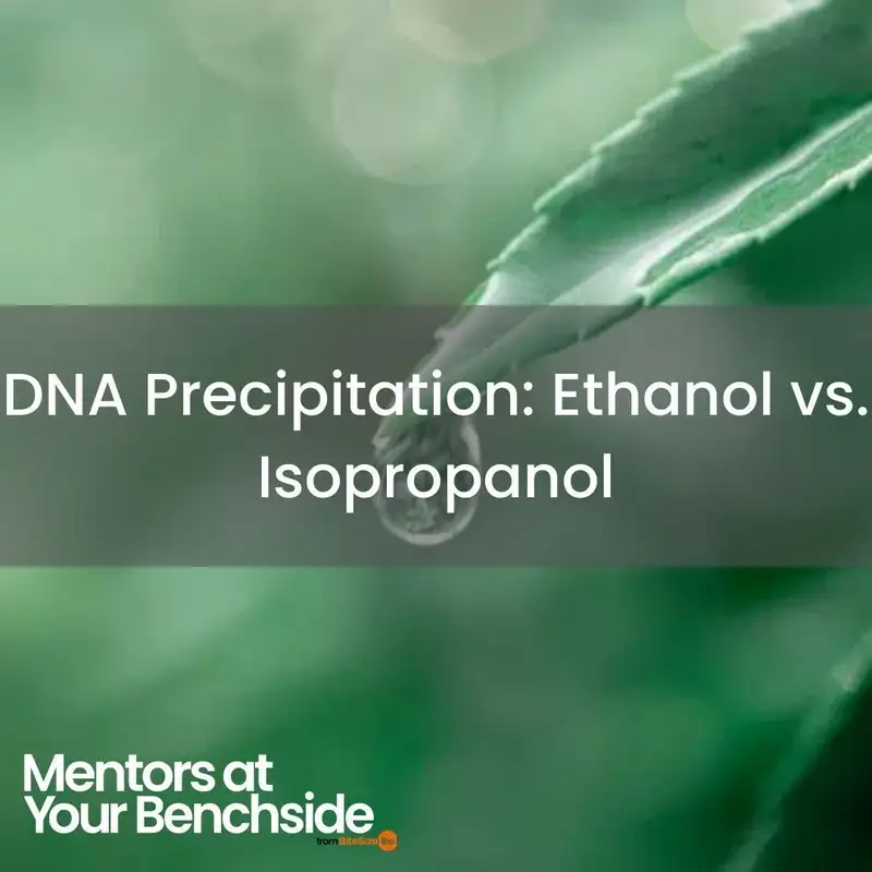 DNA Precipitation: Ethanol vs. Isopropanol