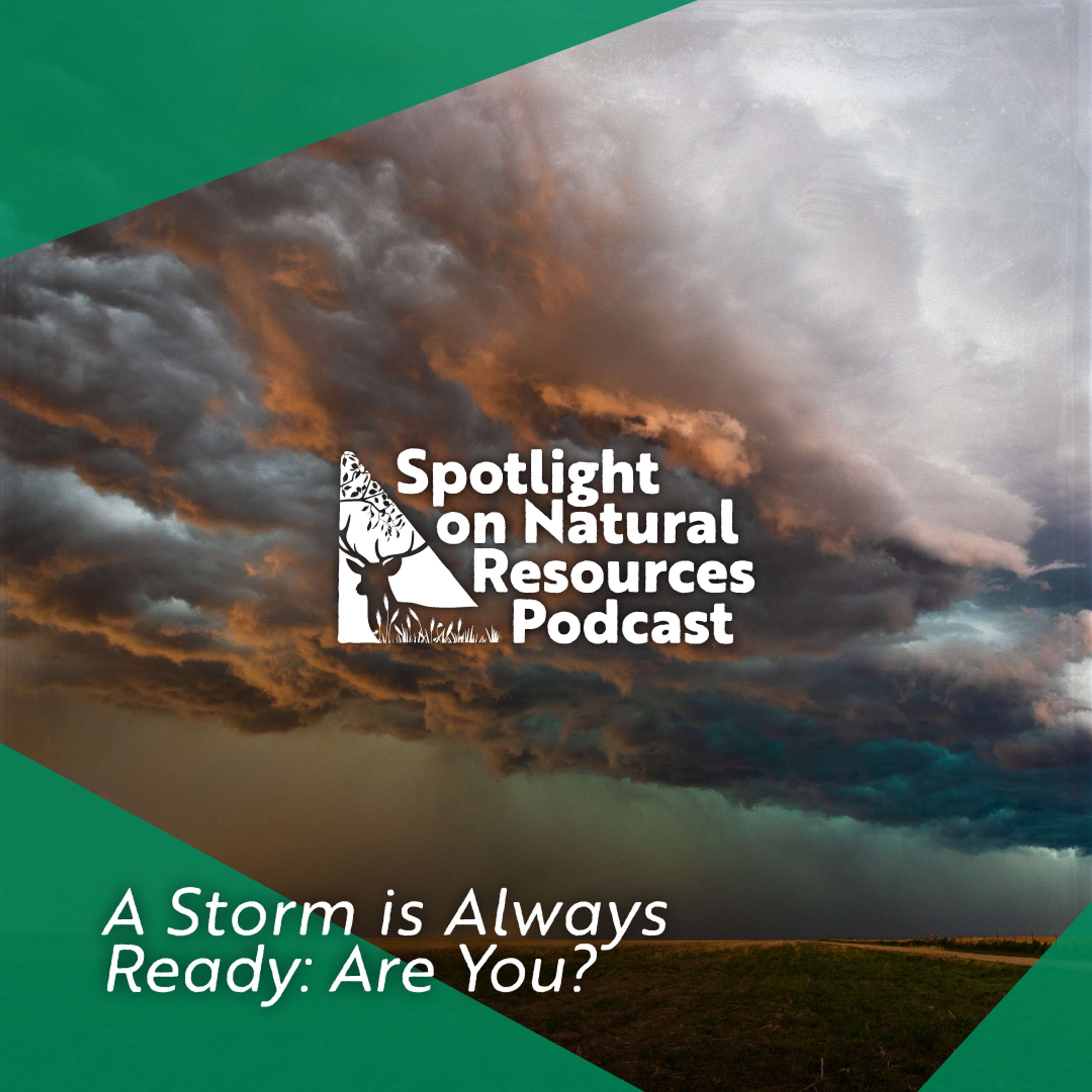 Everyday Environment Podcast