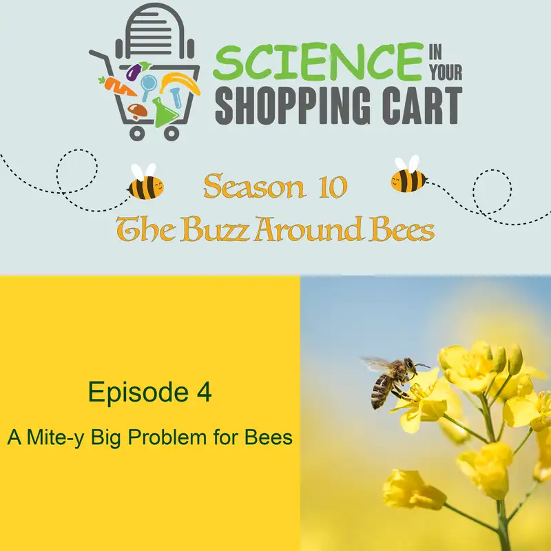 Season 10: The Buzz Around Bees | Episode 4: A Mite-y Big Problem For Bees
