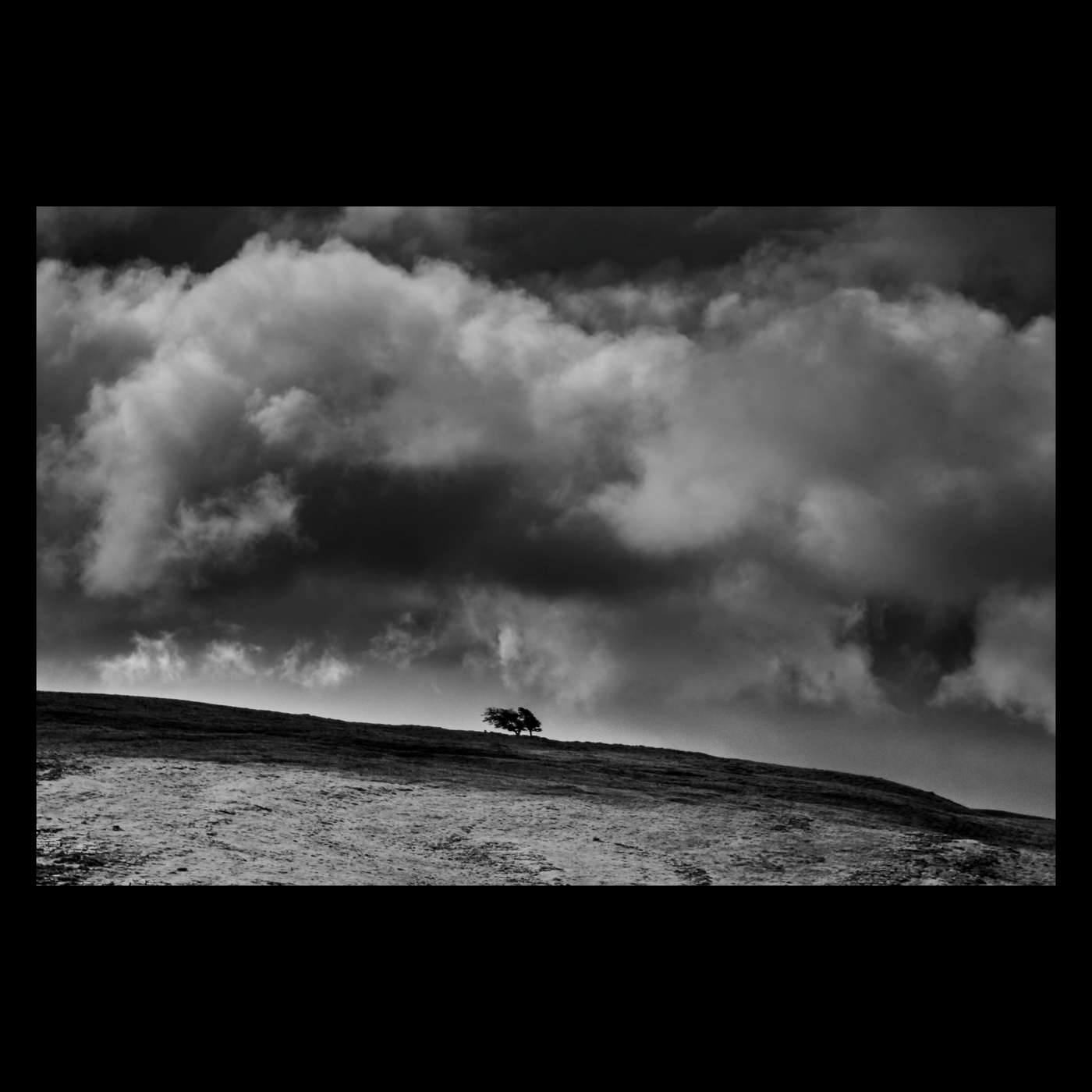 The Ten Thousand Things