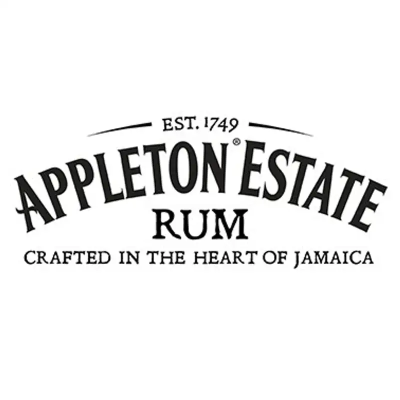 Ciders, Sodas, and Cocktails: The RTD Show Nov 2024