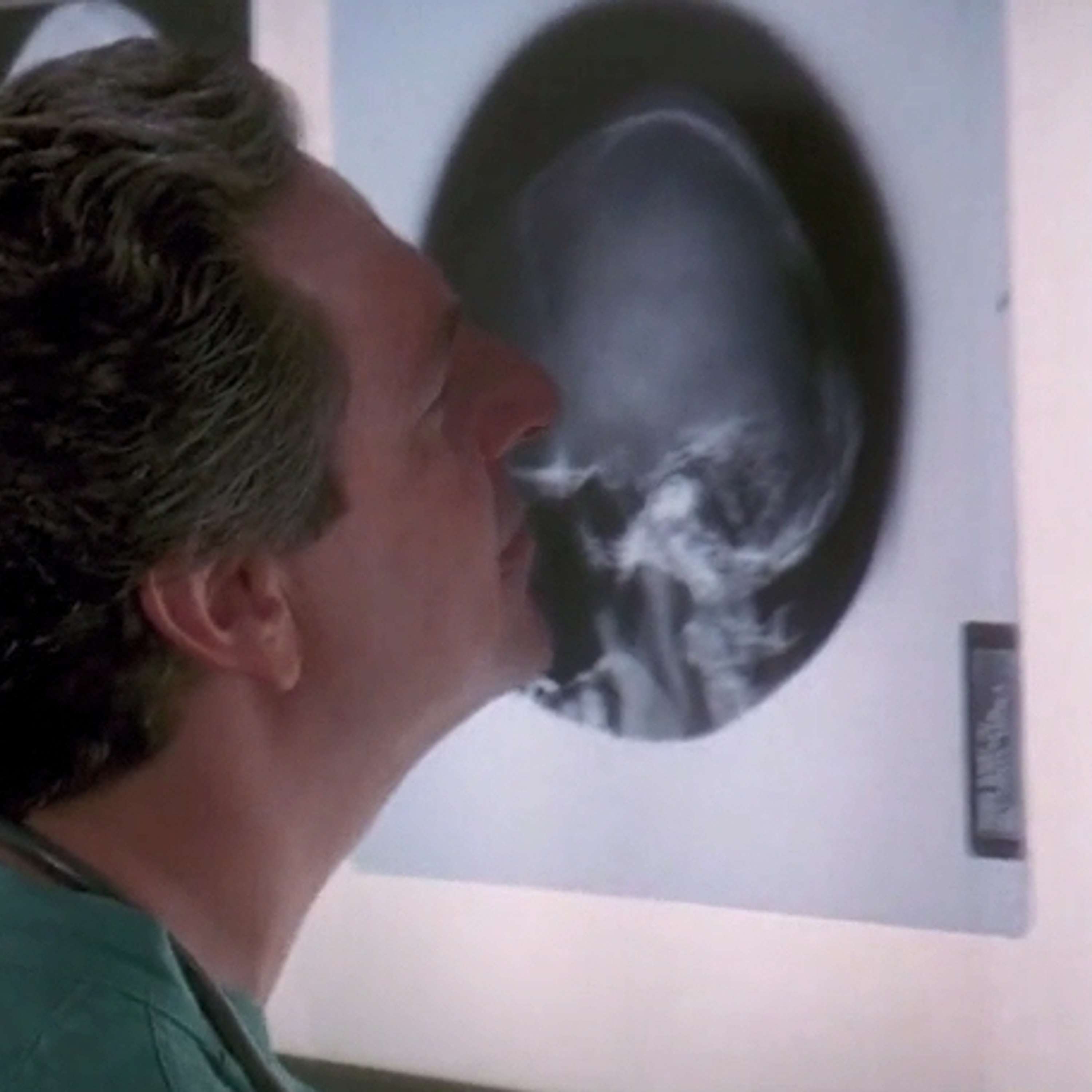 the groundhog day project