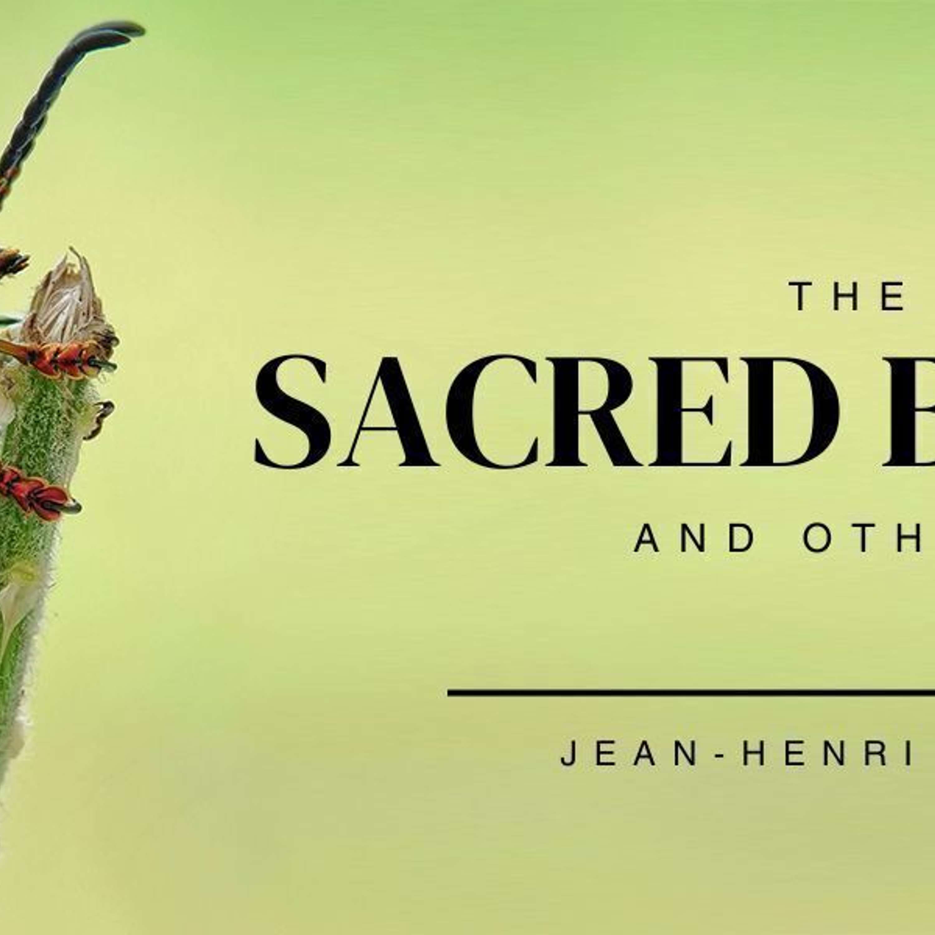 THE SACRED BEETLE