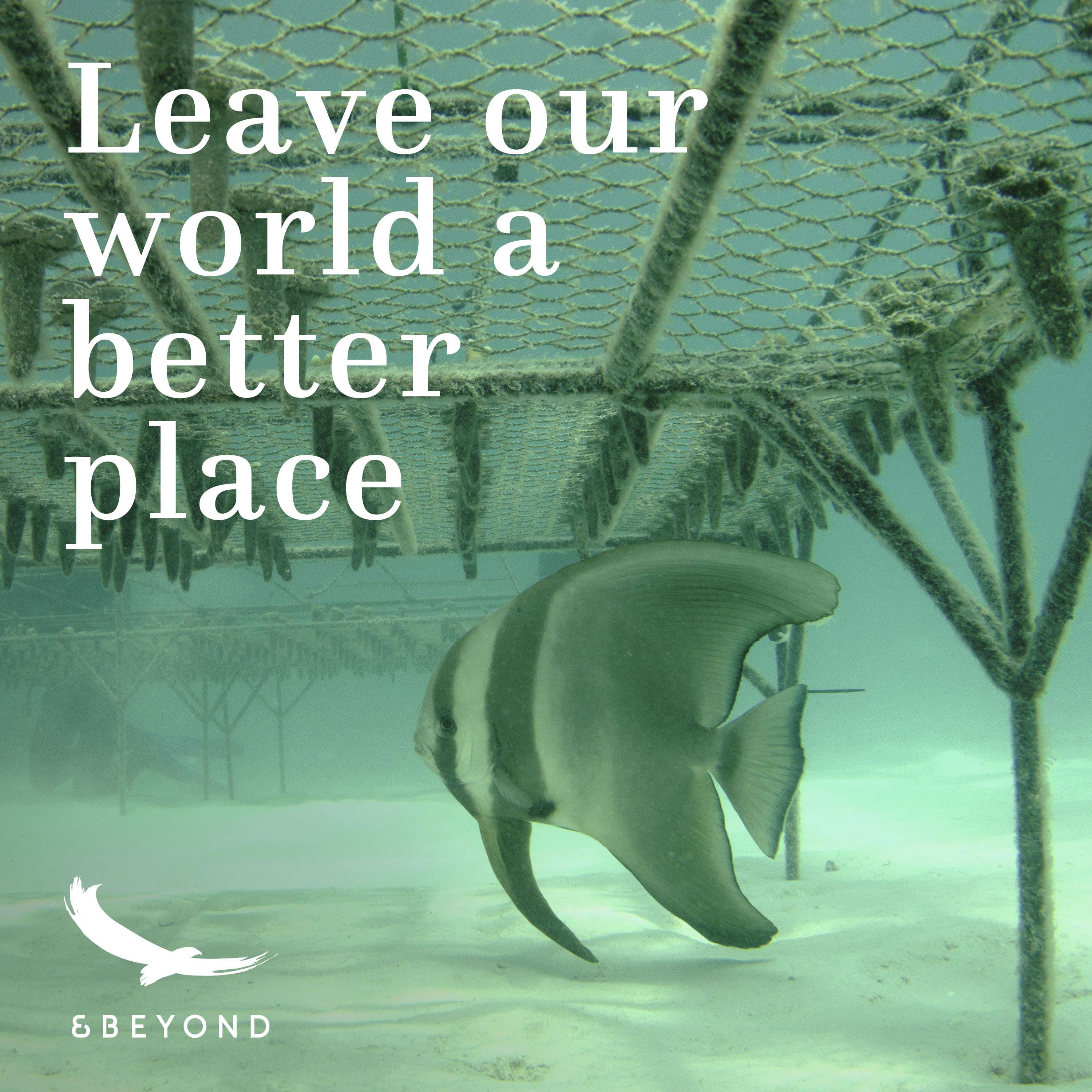 Better World