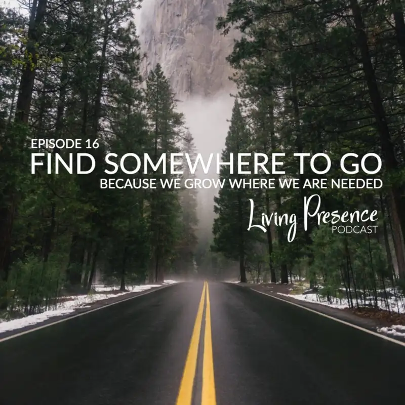 016: Find Somewhere to Go (because we grow where we are needed)