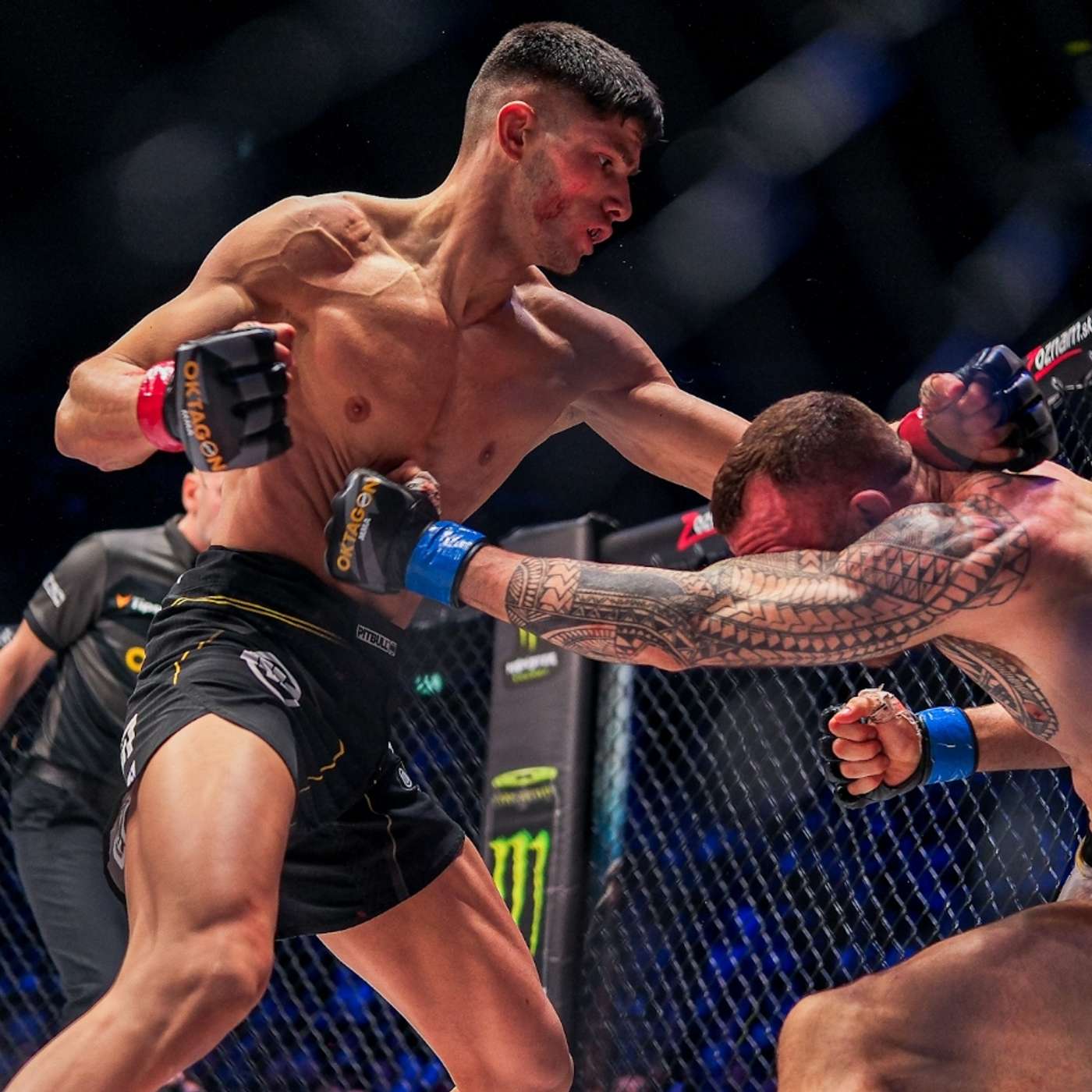 793 -From the catwalk to the cage with Islam Dulatov  (16.10.24)