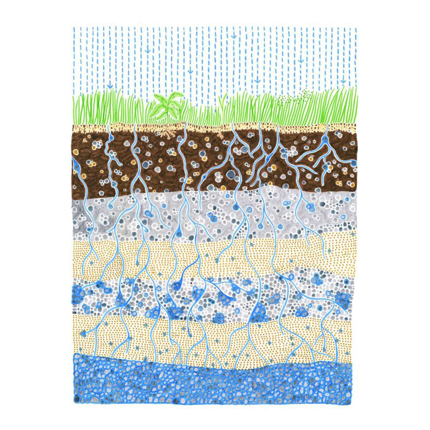 Isabelle Daëron - Dessiner l’eau